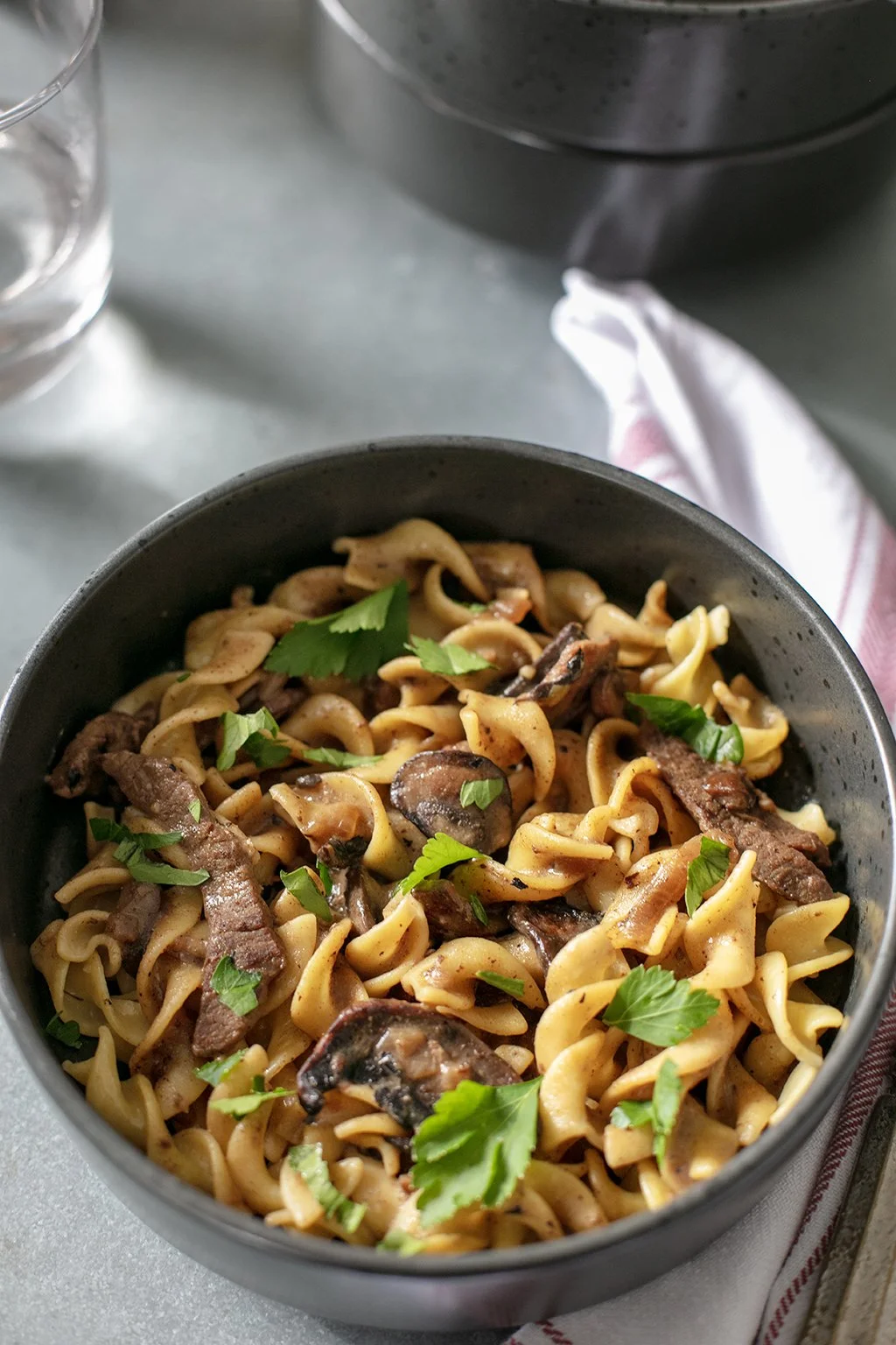 stroganoff 012126_1154.jpg