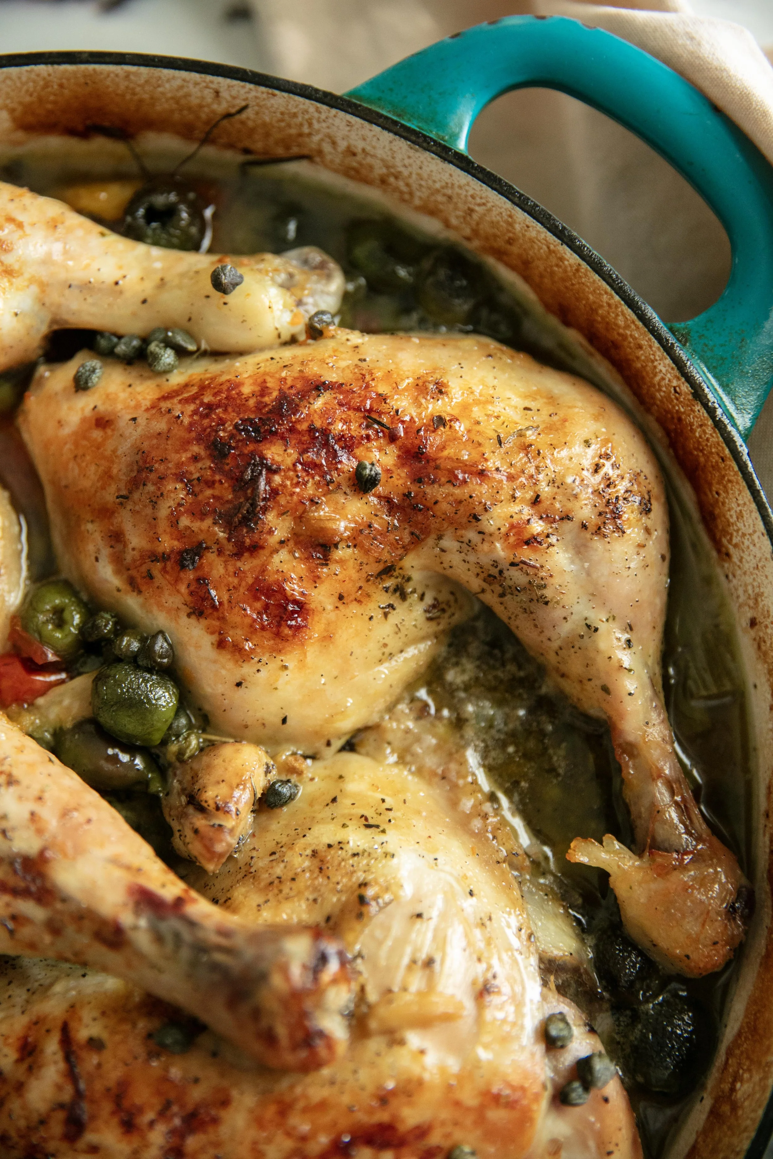 chicken 091326_5644.jpg