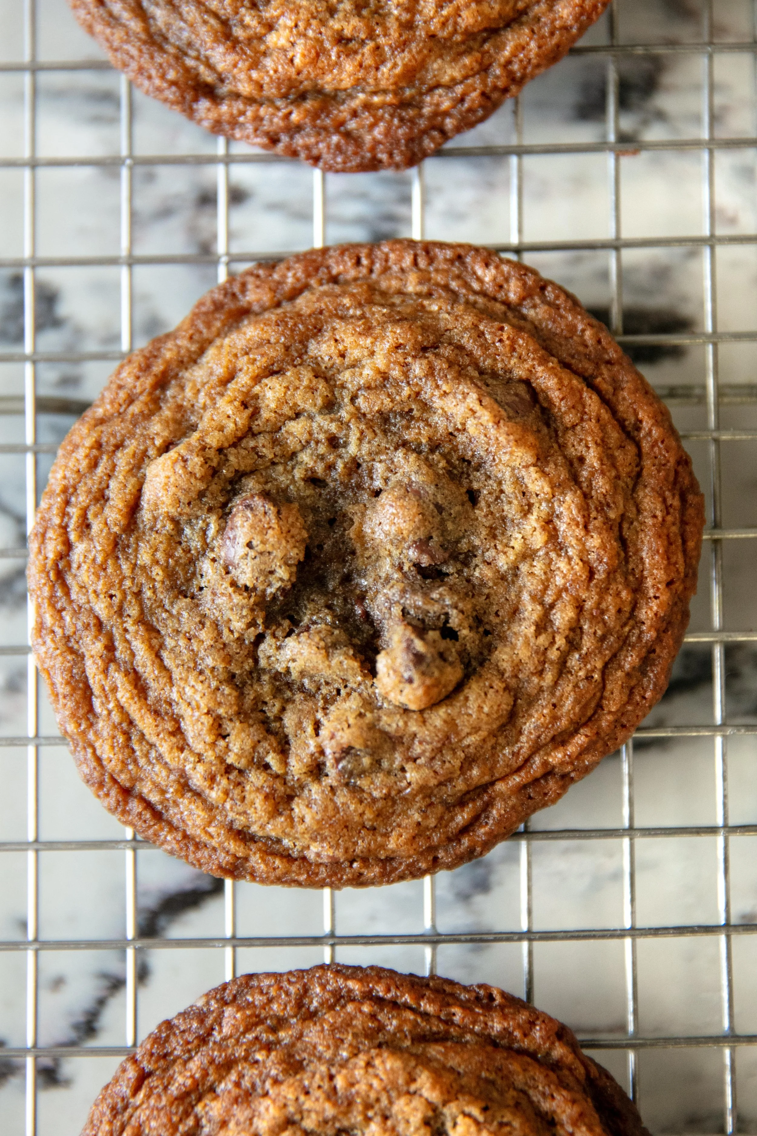 Chocolate Chip Cookie