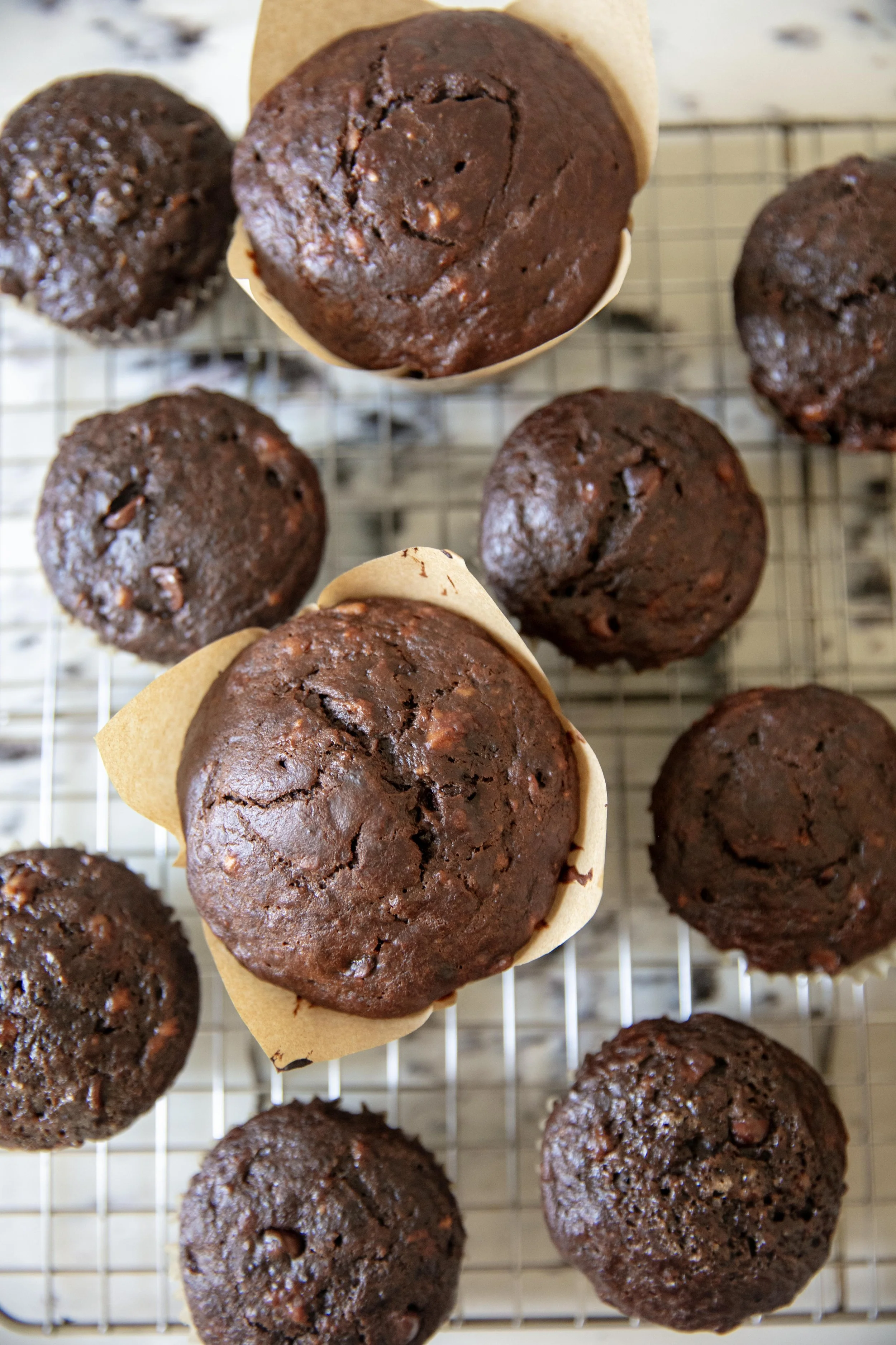 choc muffin 080226_5367.jpg