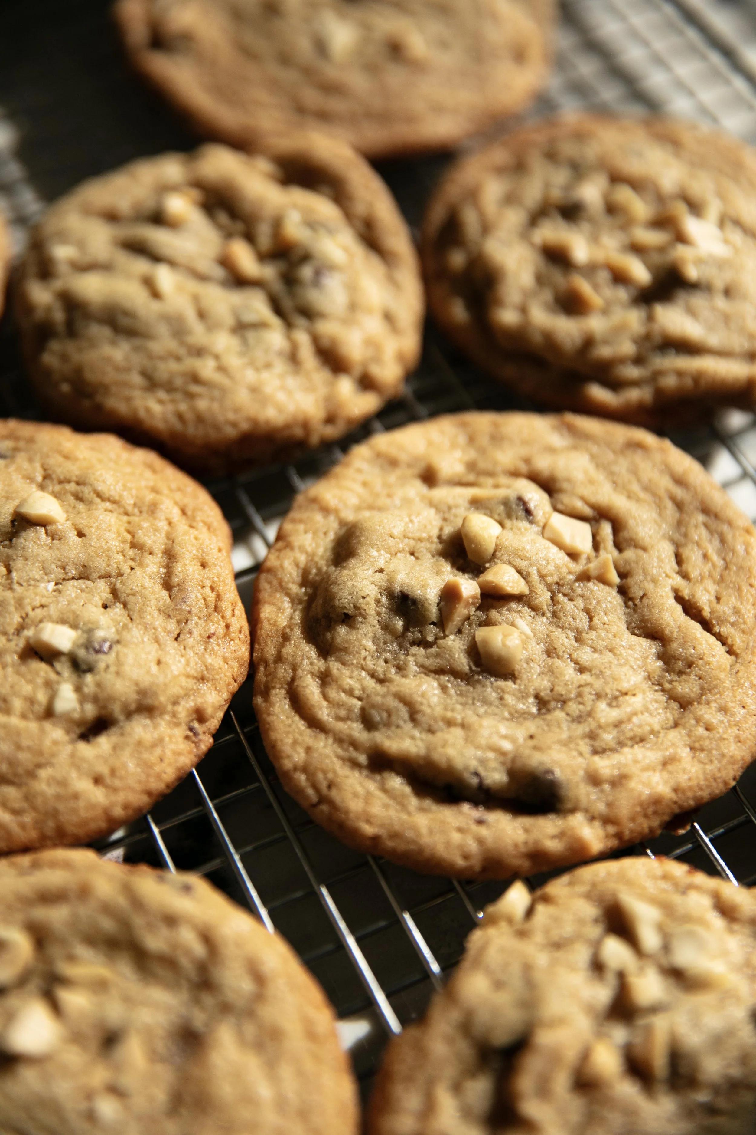 pb cookies 102326_8148.jpg