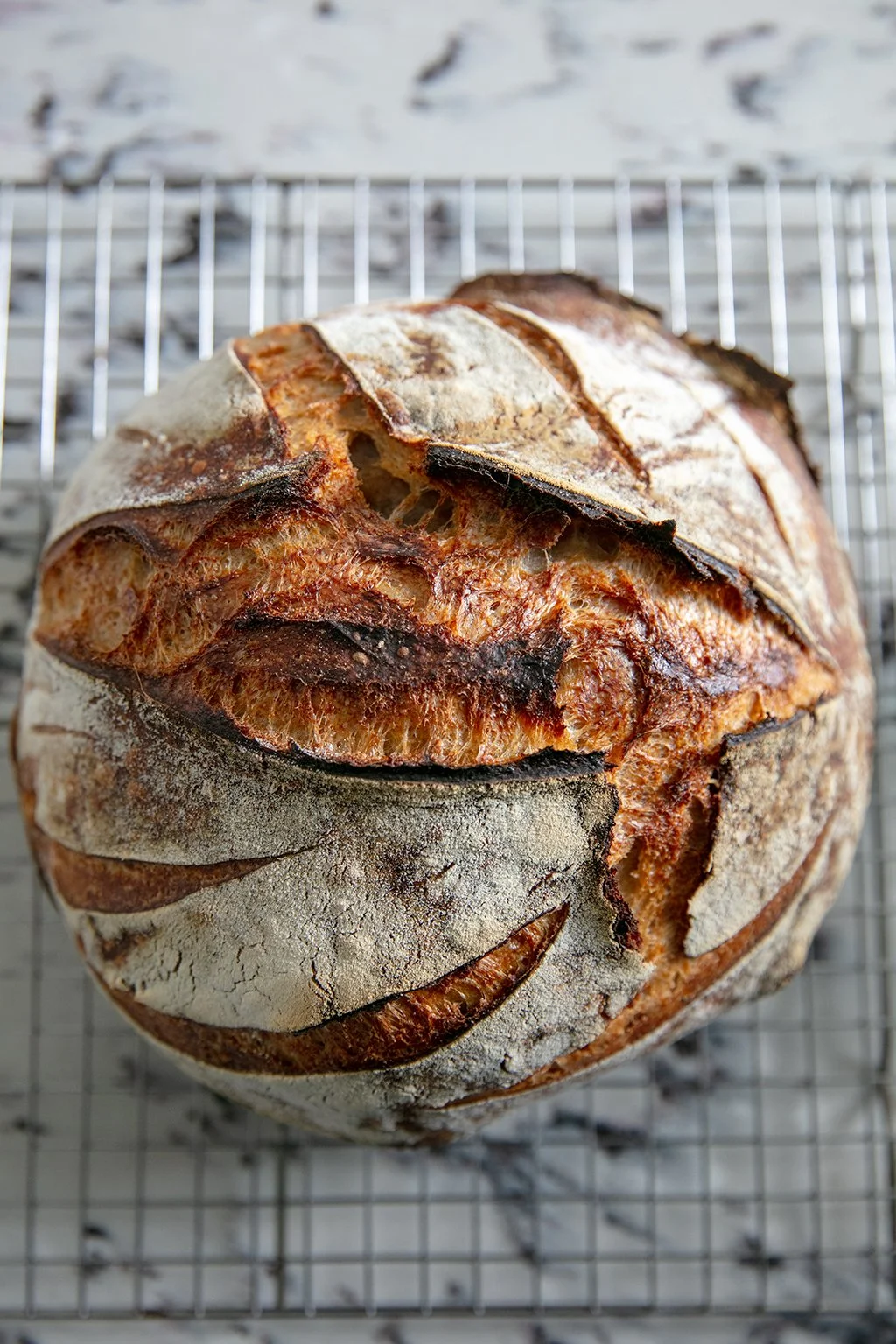 Sourdough Bread Loaf