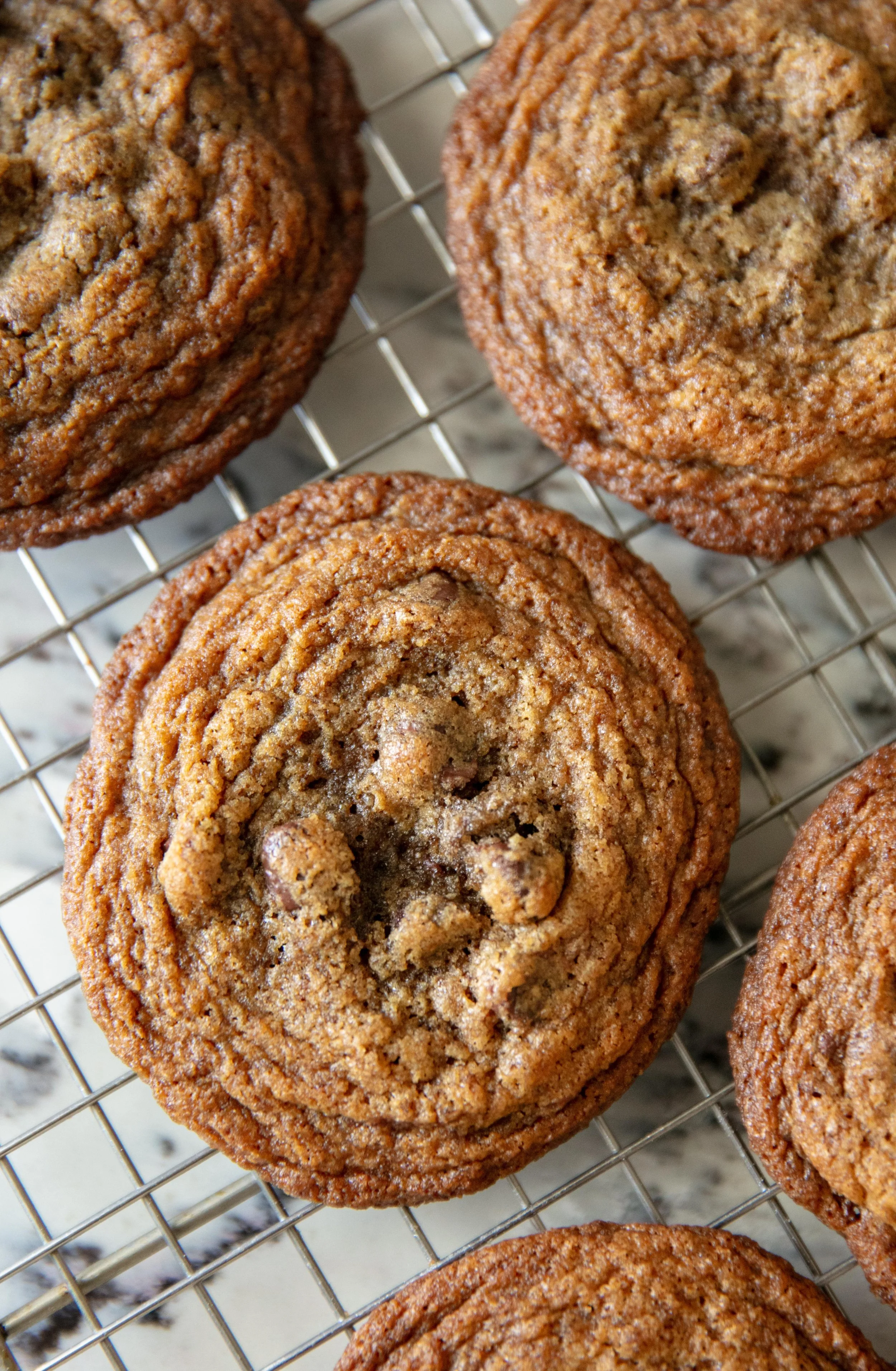BB Choc Chip Cookie_2U8A2785.jpg