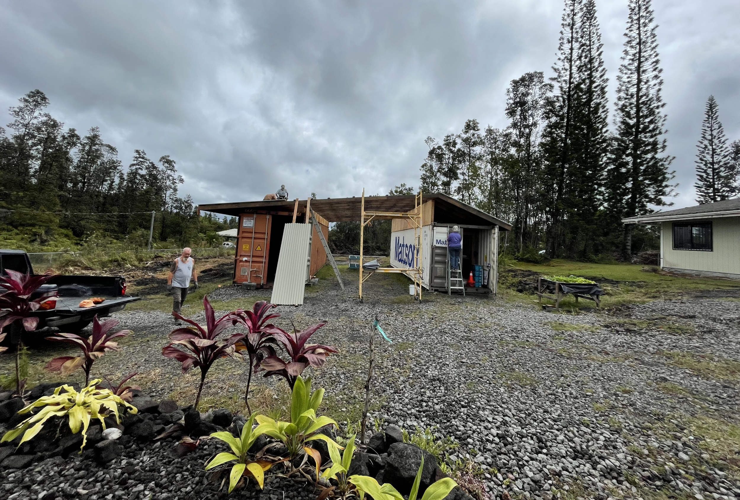 People working on construction of a small building or shed outdoors in a rural area with trees, cloudy sky, and plants in the foreground.