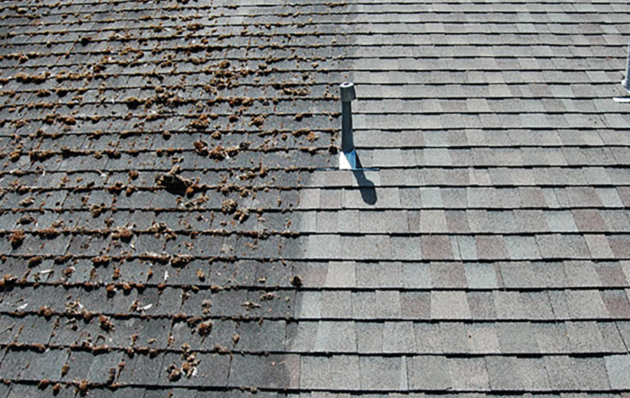 Roof Cleaning