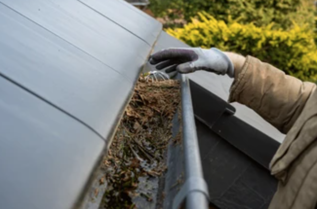 Gutter Cleaning