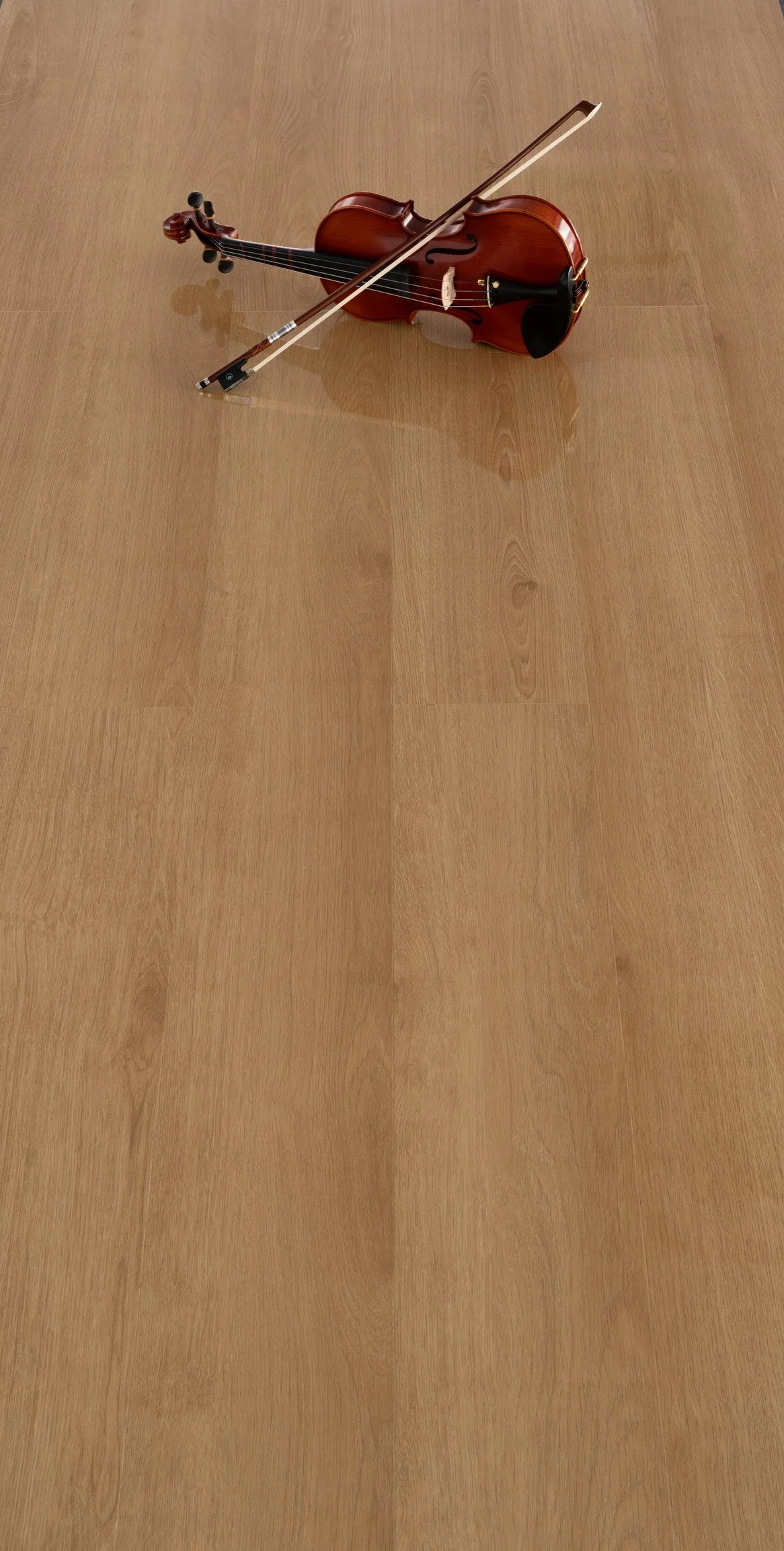 SX03_02.jpg