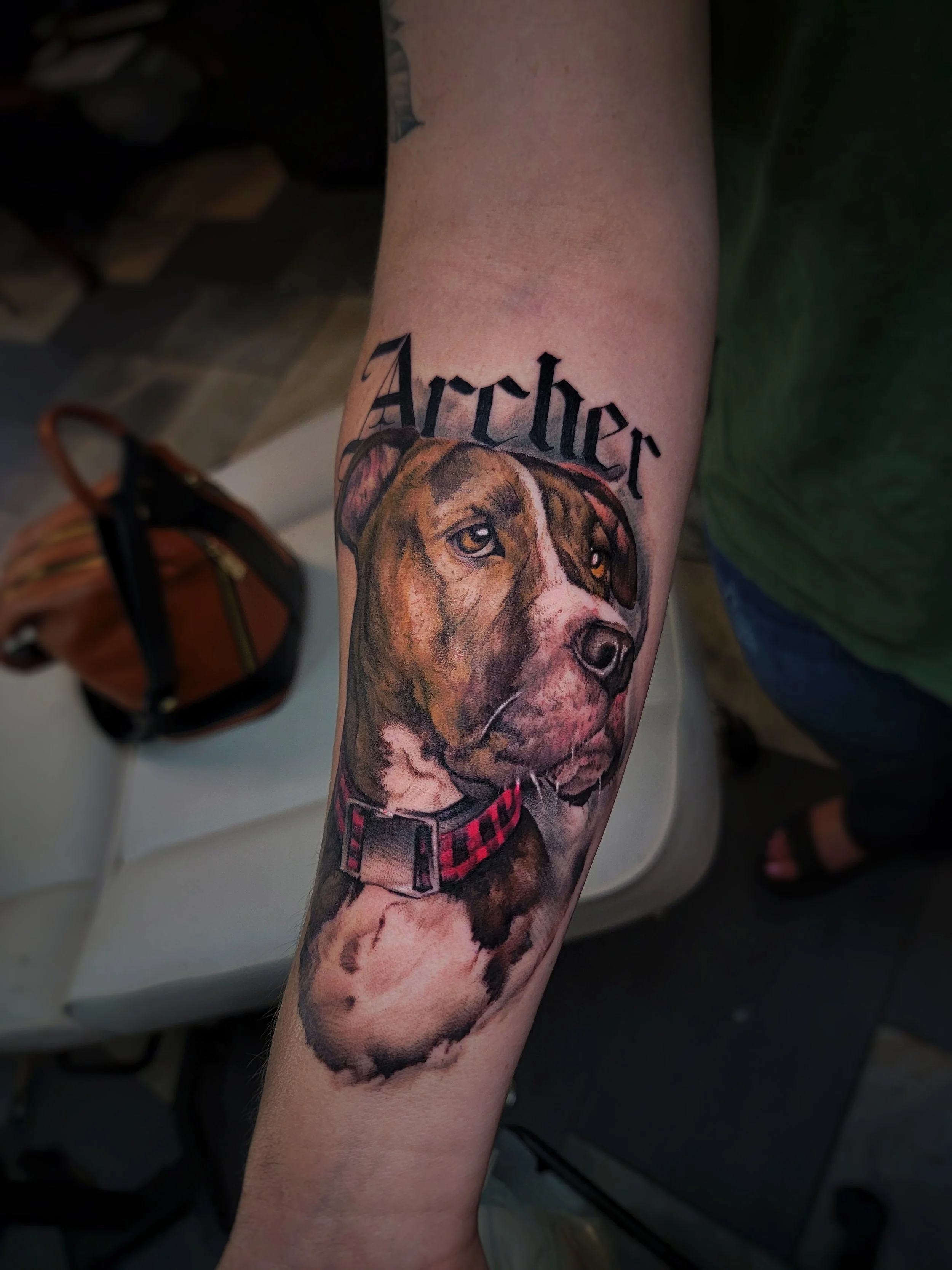 Tattoo of a dog's face with tan, black, and white fur, wearing a red collar, and the word 'Archer' above it on a person's forearm.