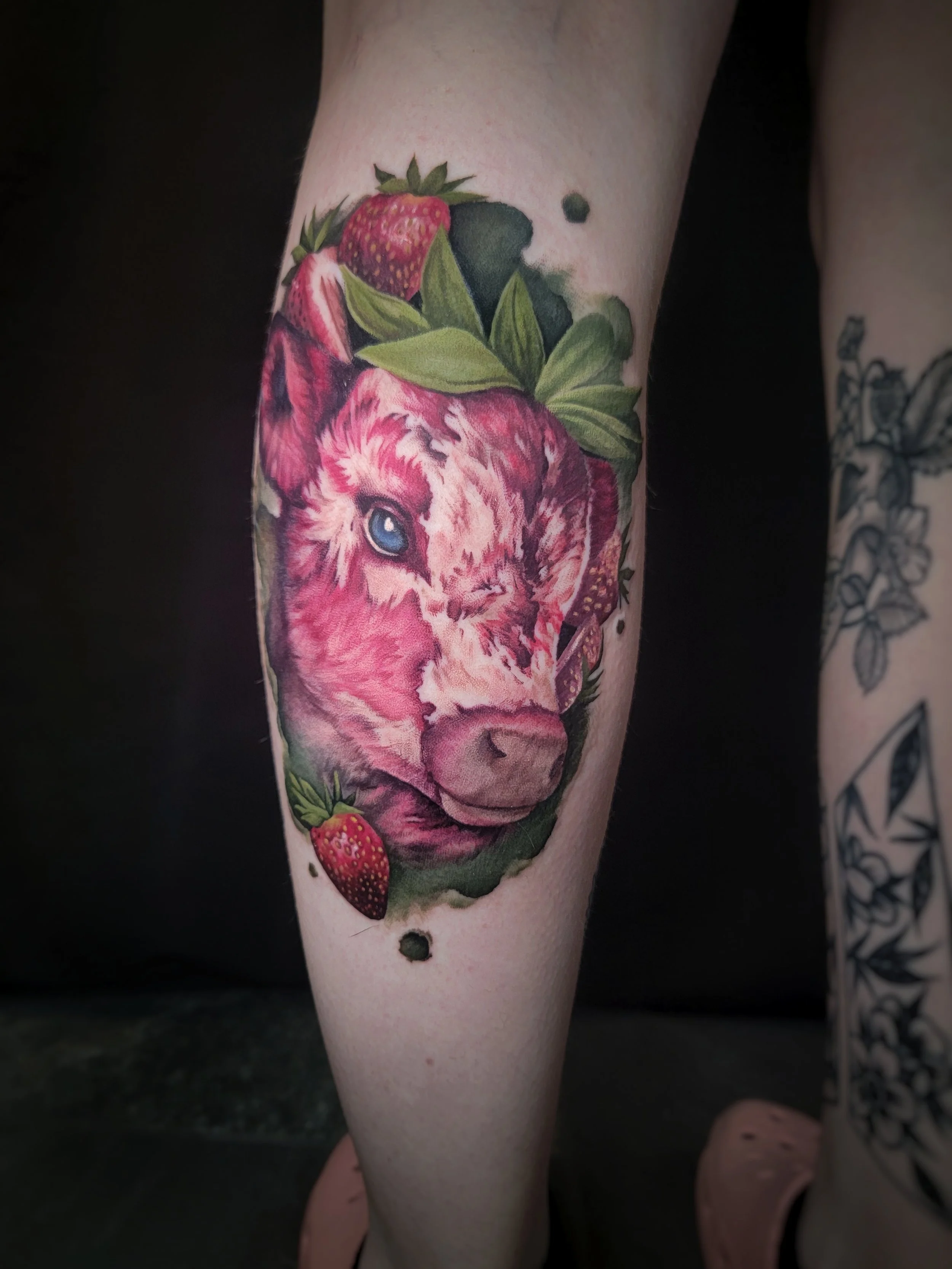 Tattoo of a cow with strawberries and green leaves on a person's calf.