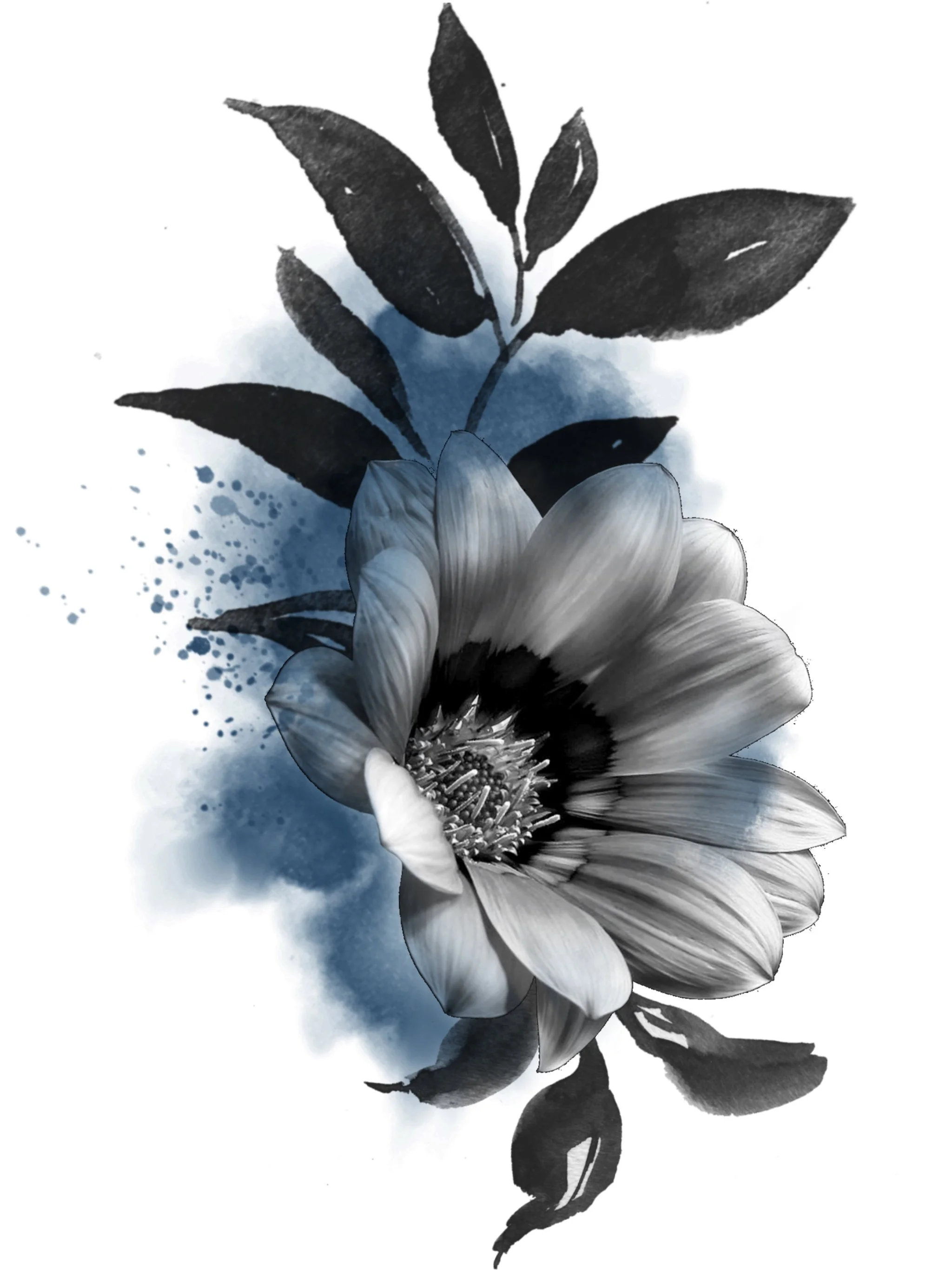 A black and white flower with watercolor style, splashes of blue paint behind it.