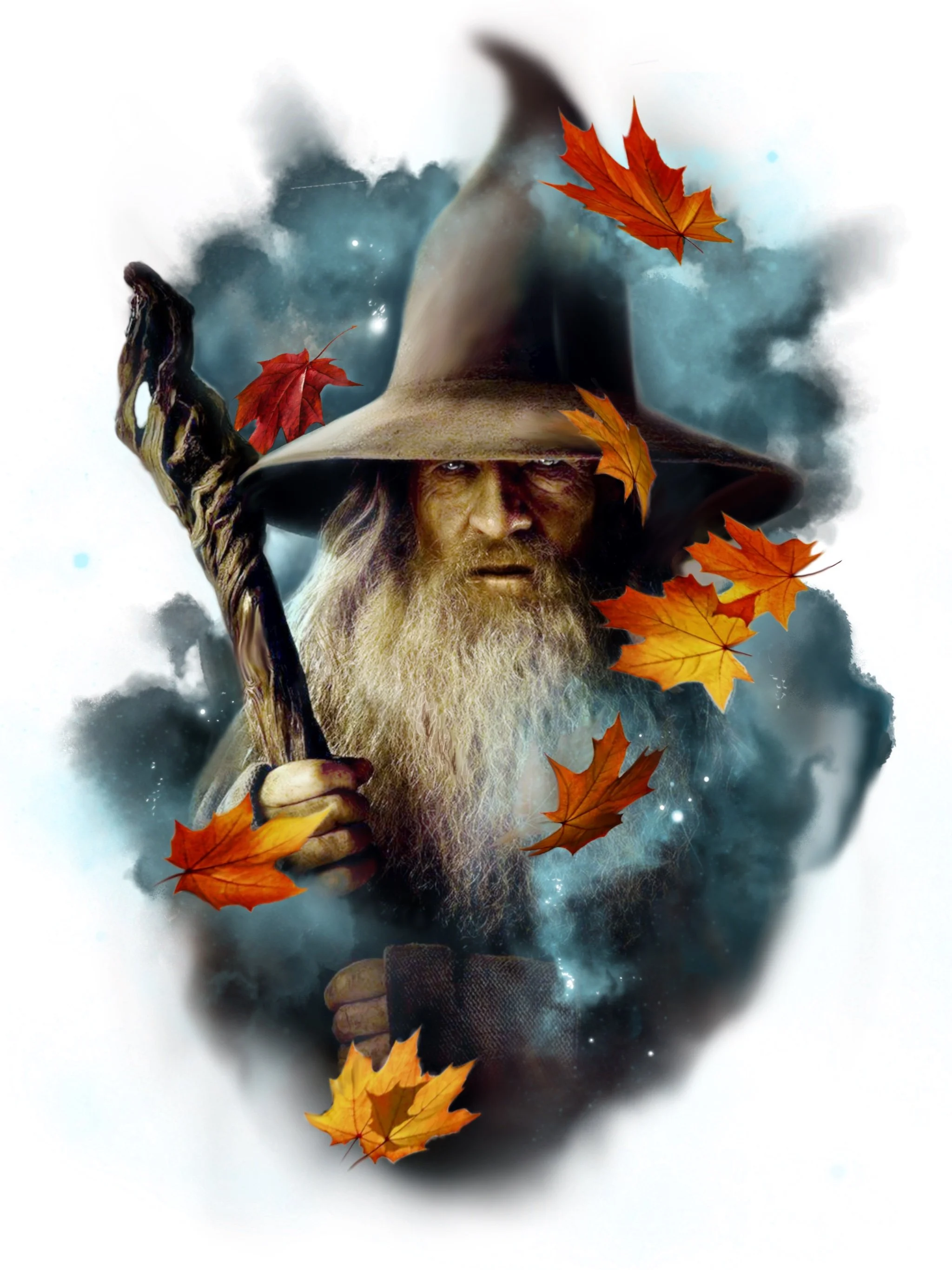 A wizard with a long white beard wearing a large pointed hat and holding a staff, surrounded by colorful autumn leaves and a cloudy sky background.