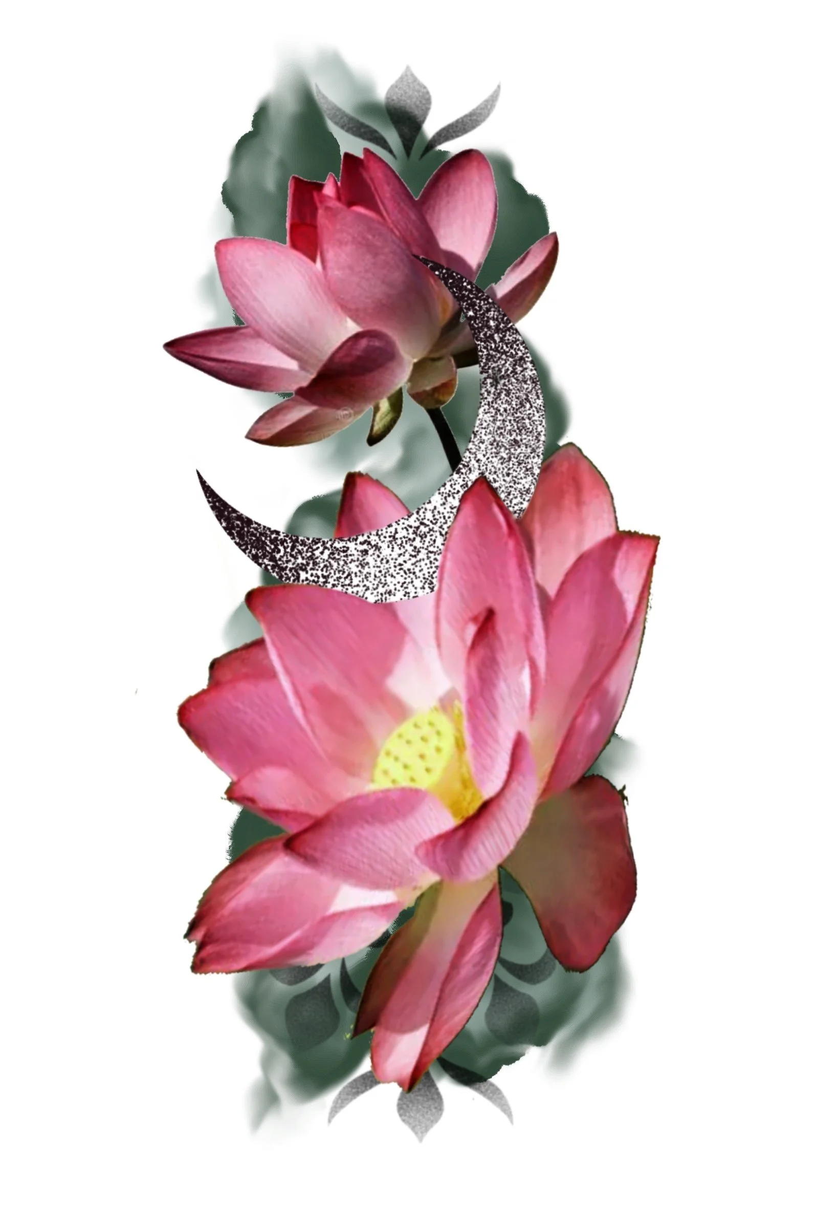 A digital collage of pink and red flowers with a crescent moon and leaf design overlayed.