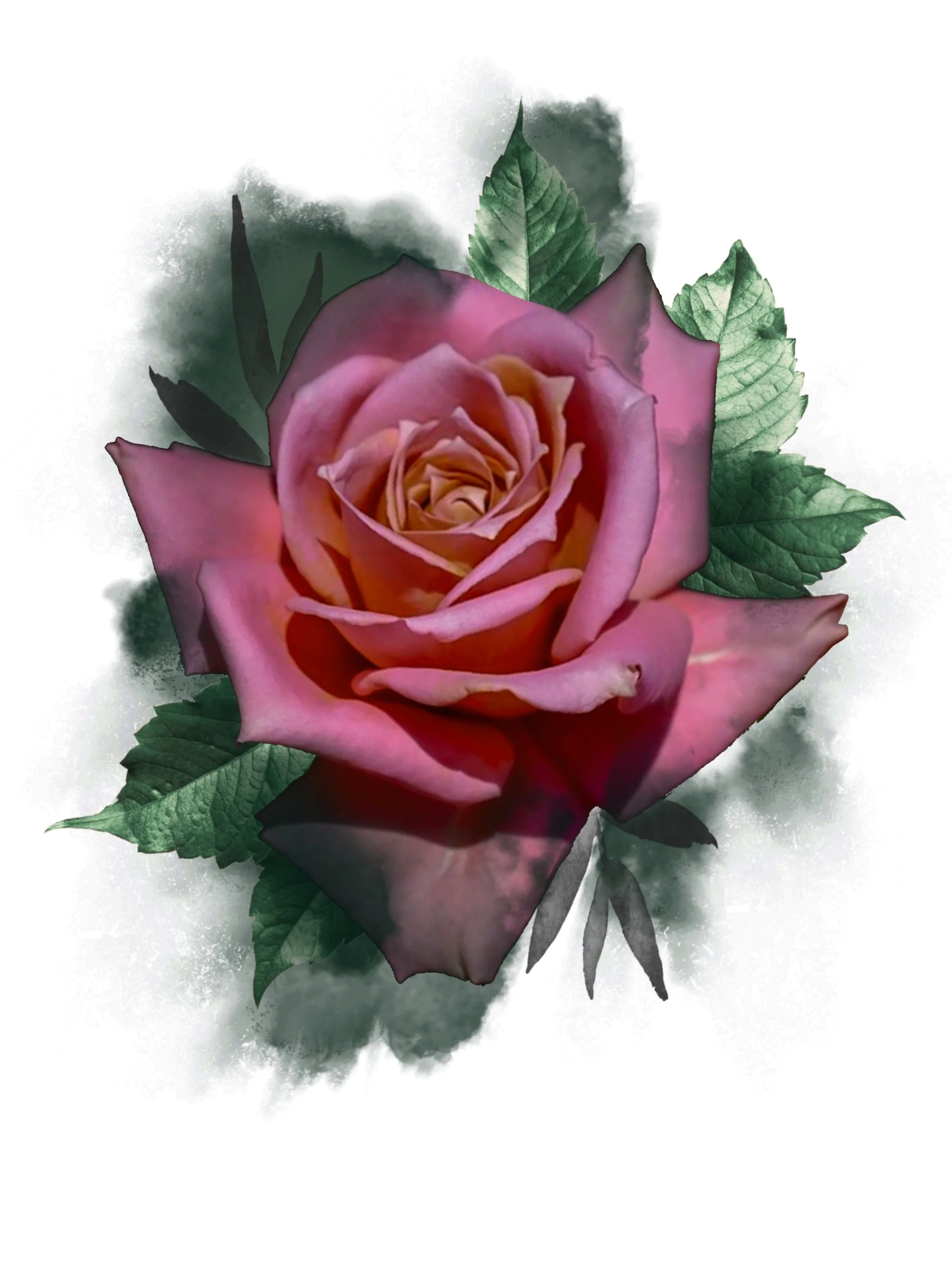 Close-up of a pink and peach rose with green leaves on a watercolor-style background.