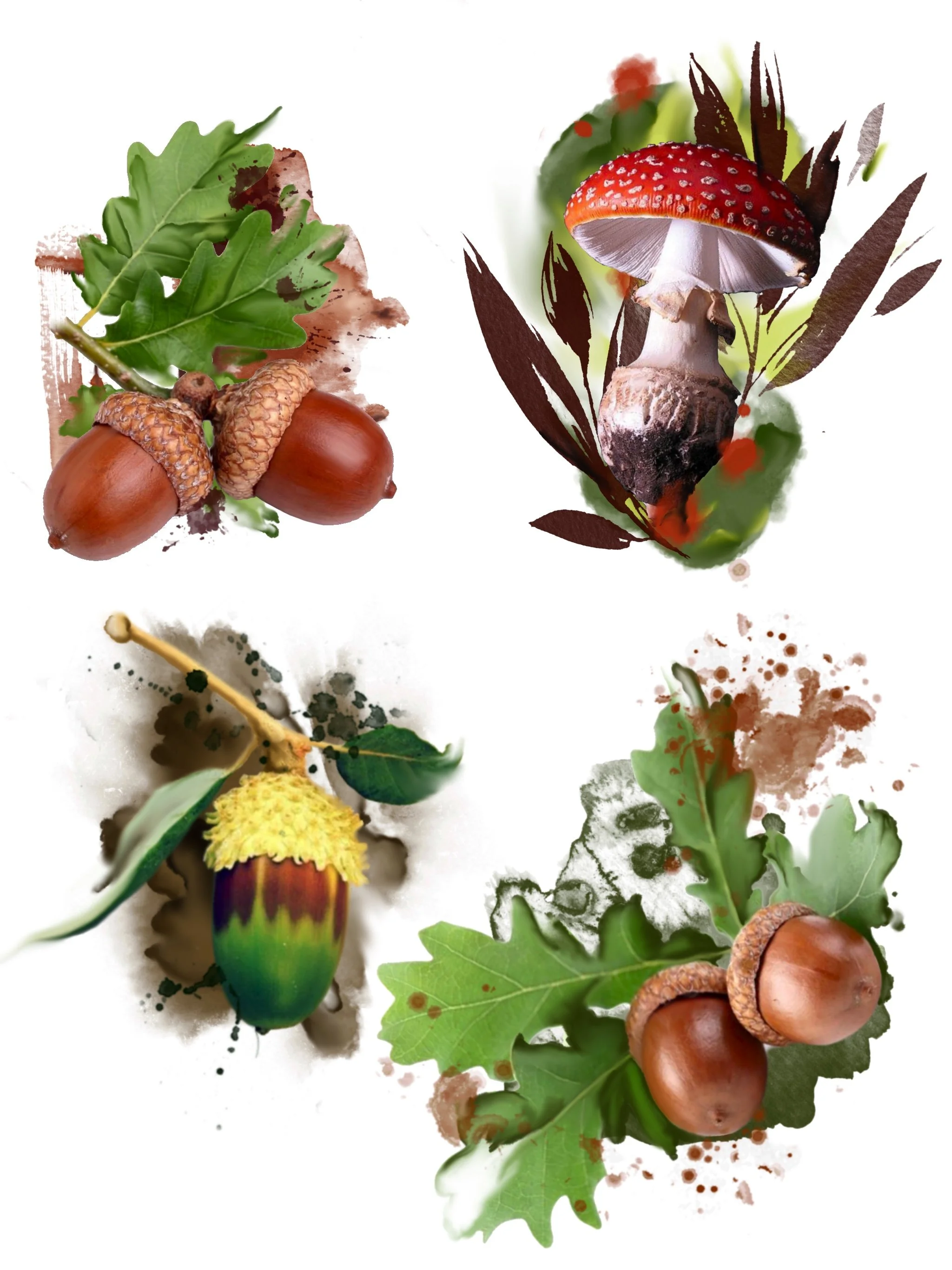 Mixed natural elements including chestnuts, oak leaves, a mushroom, a yellow flower, and paint splatters, arranged artistically.