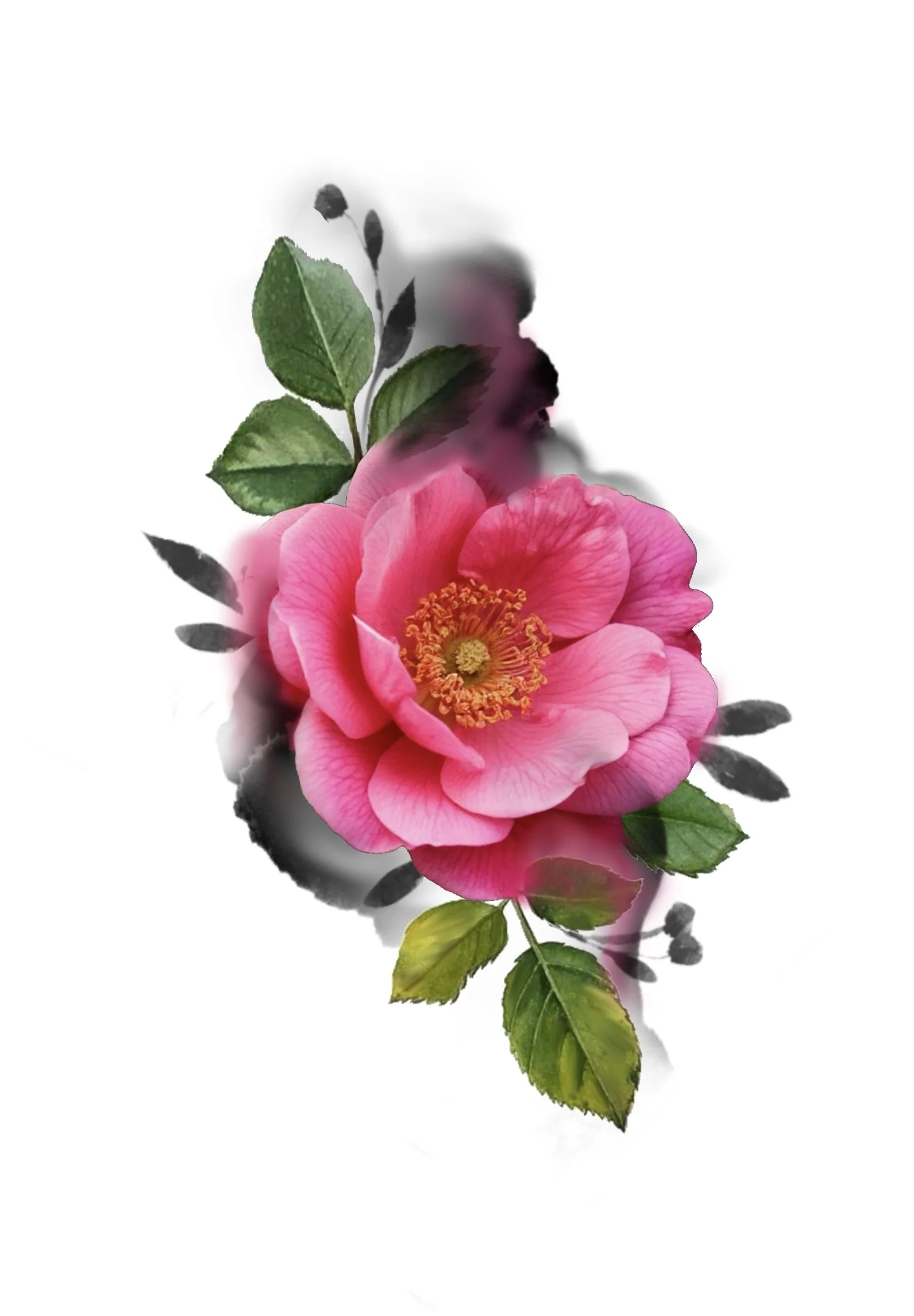Pink flower with green leaves and some black and white leaves on a white background.