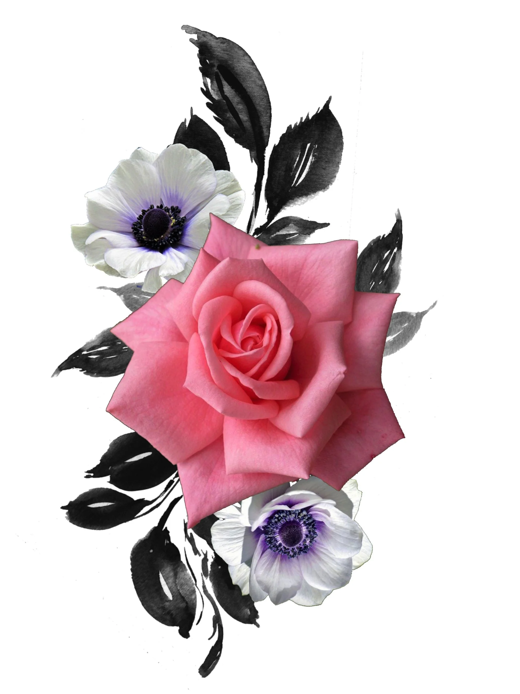 Botanical illustration with black ink leaves and realistic pink rose, and realistic white and purple flowers.