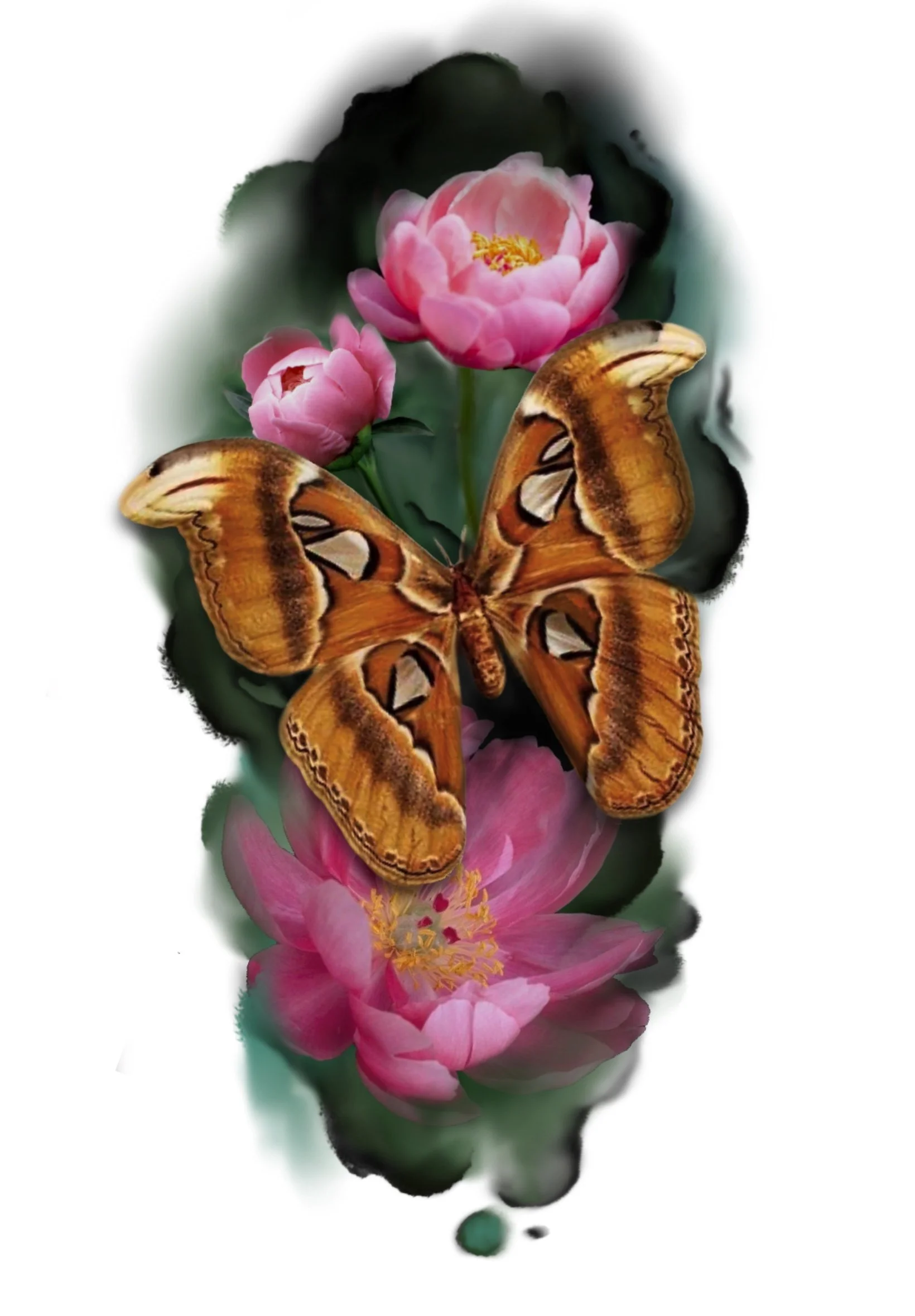 Pink flowers with yellow stamens and a large butterfly with orange and black wings resting on the flowers.