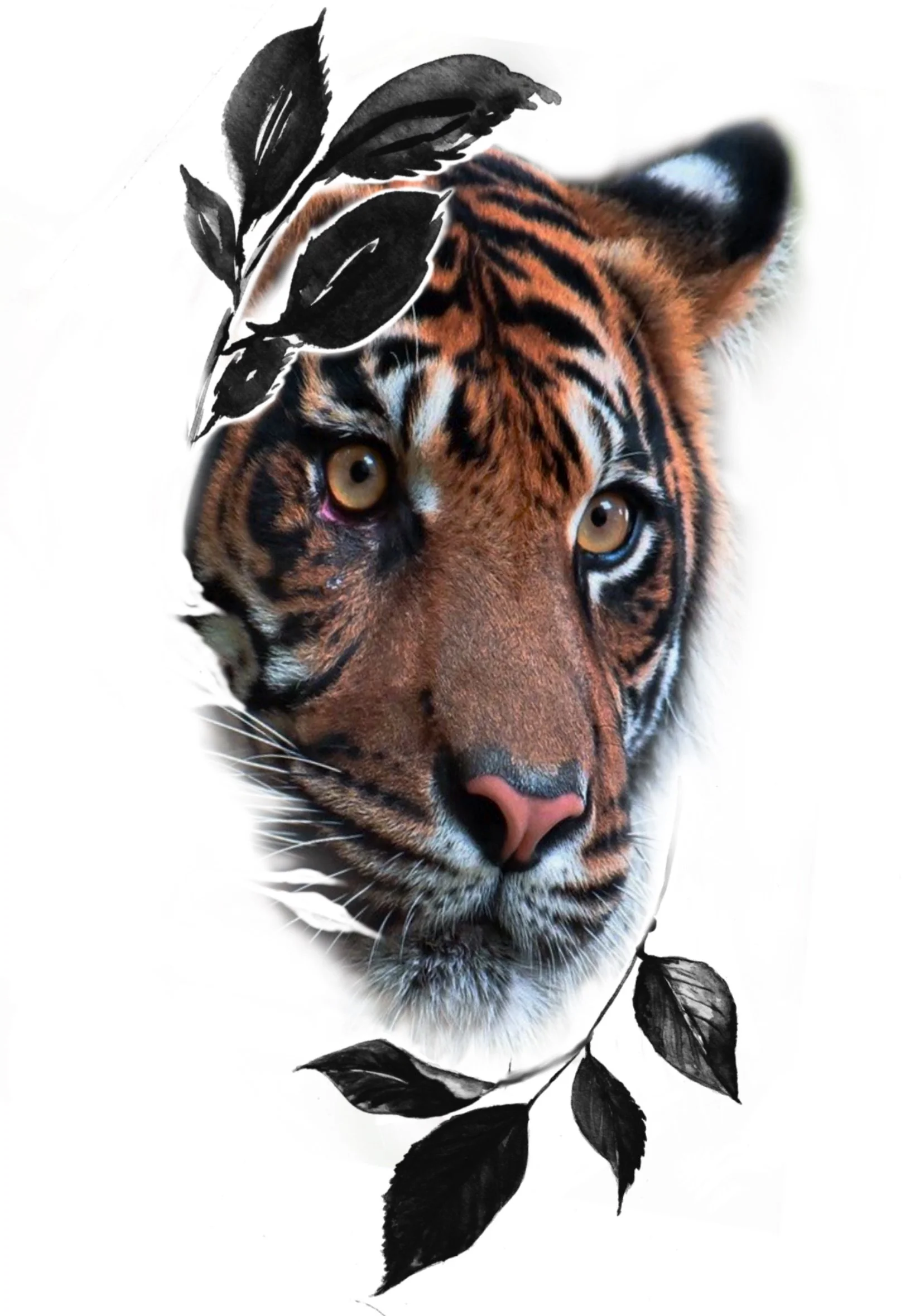 Photograph of a tiger's face surrounded by black leaves and a partially visible feather.