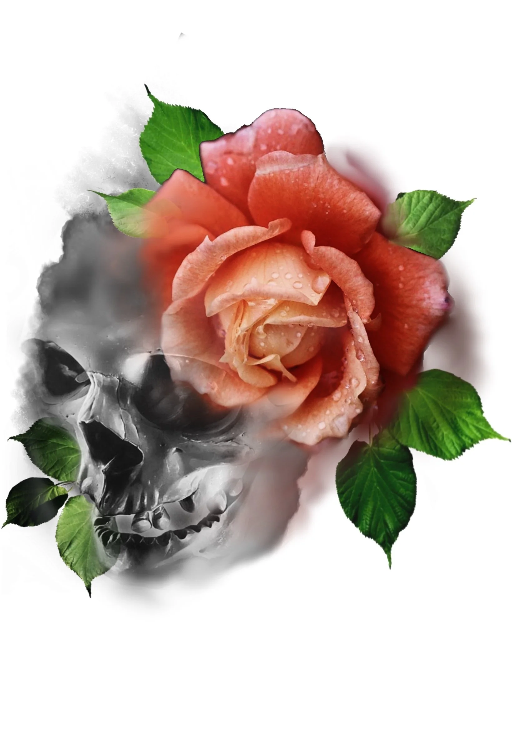 A colorized pink rose with dew droplets and green leaves, partially overlaid with black and white portions, creating a contrast between vibrant and monochromatic sections.