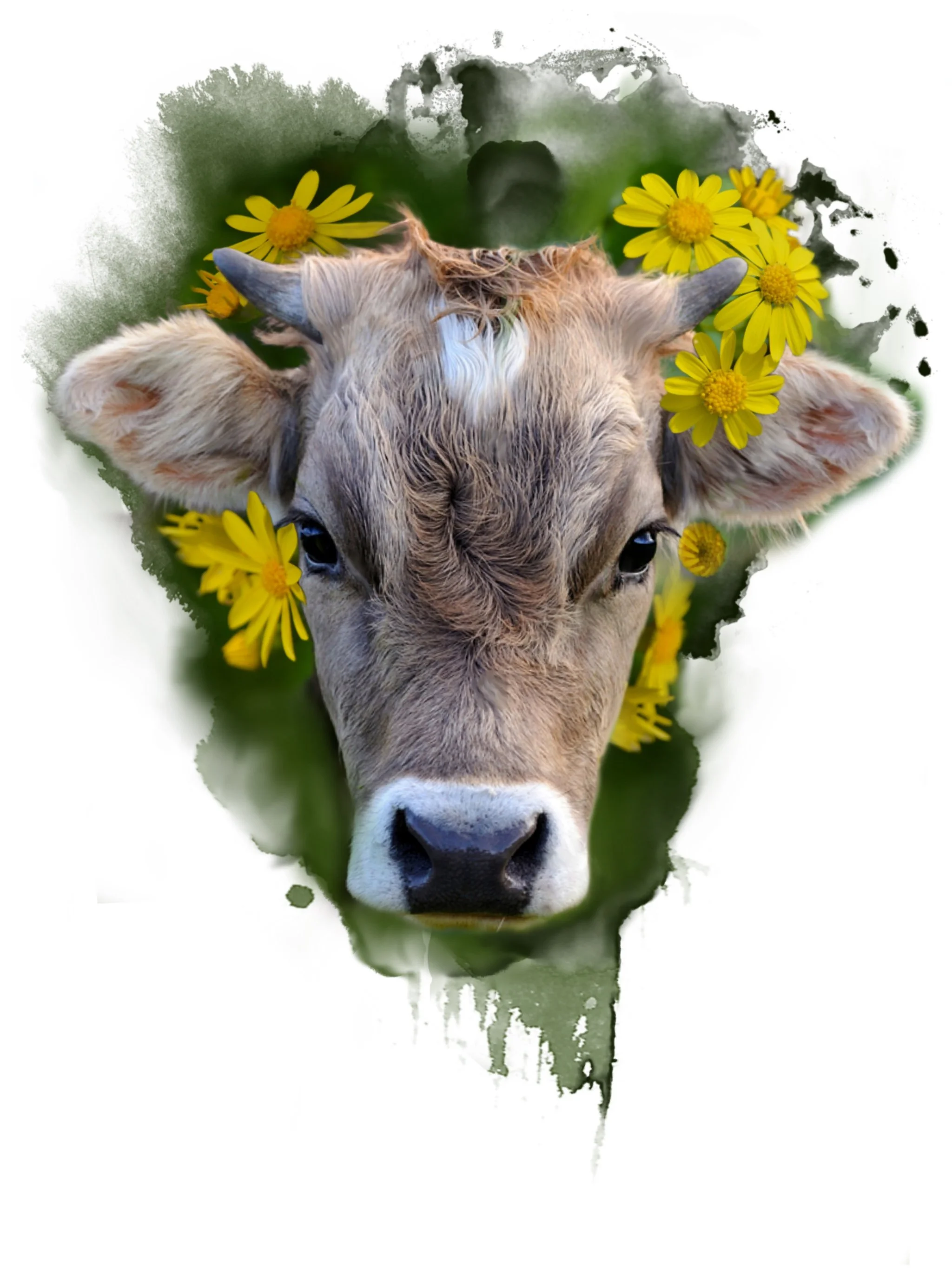 A cow's face with yellow flowers around its head, watercolor-style illustration.