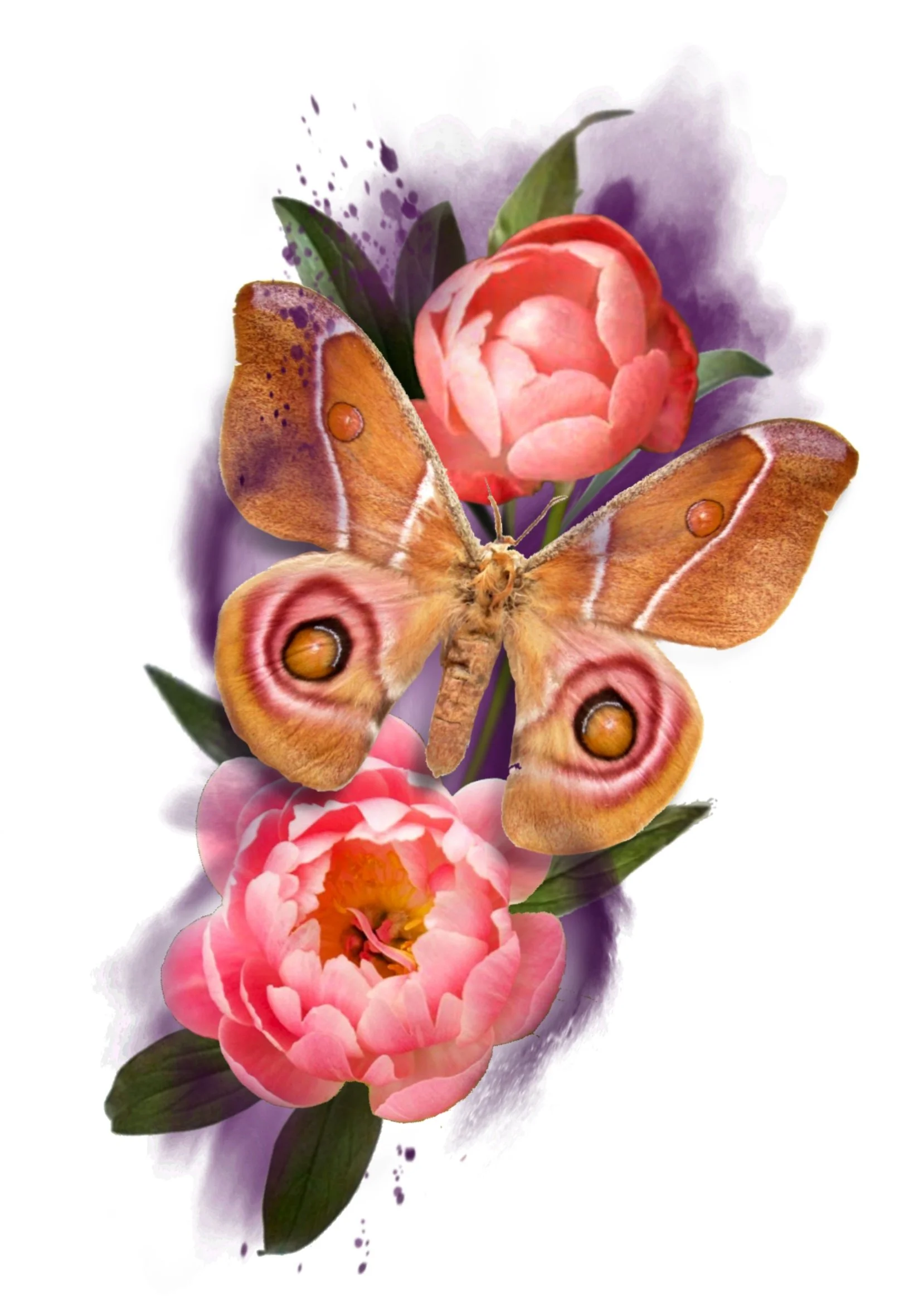 An orange and black moth with eye-like markings on its wings resting on pink peony flowers with green leaves, set against a watercolor background with purple watercolor splashes.