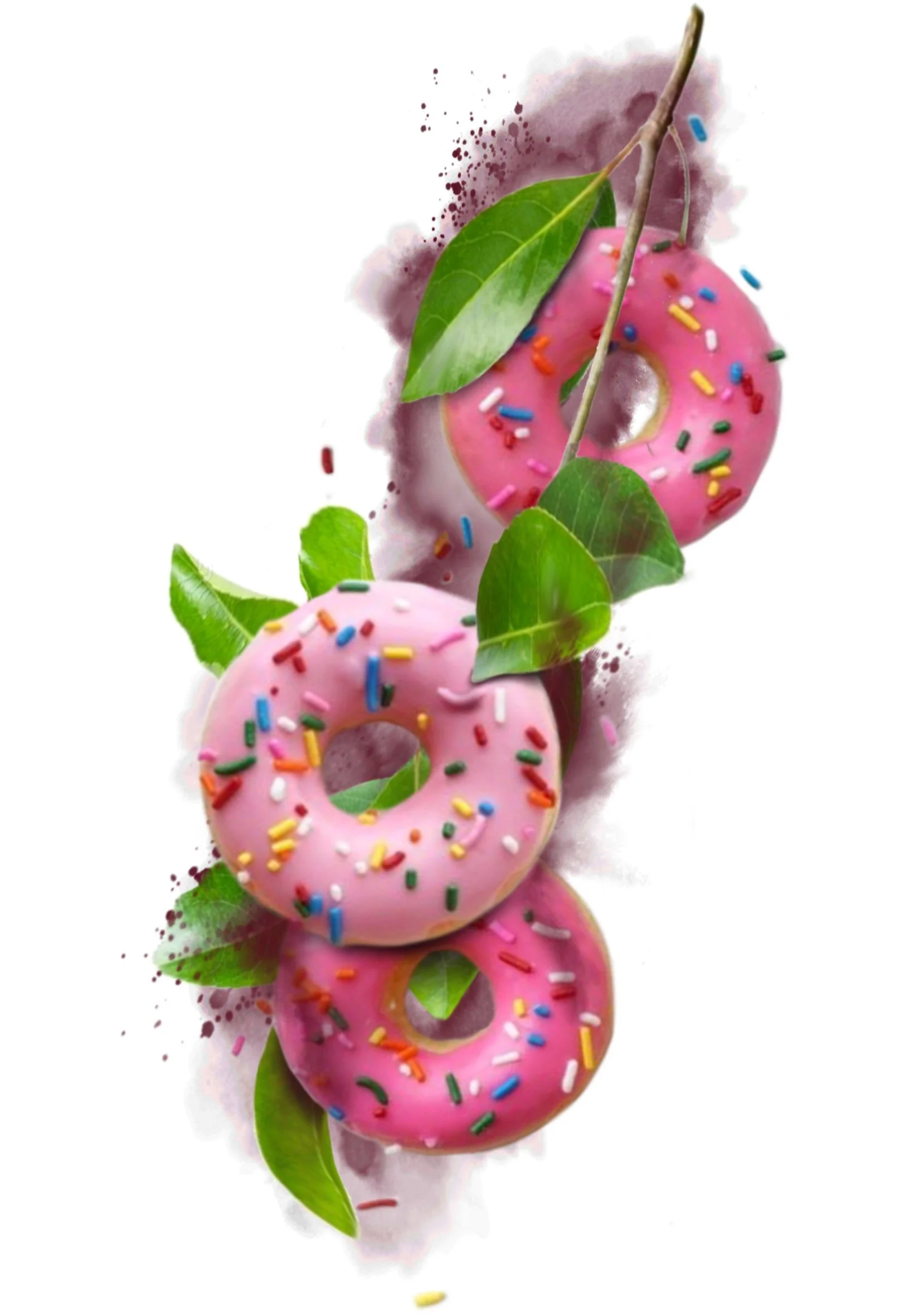 A row of four pink-frosted donuts with colorful sprinkles, arranged with green leaves and a thin branch on a white background.