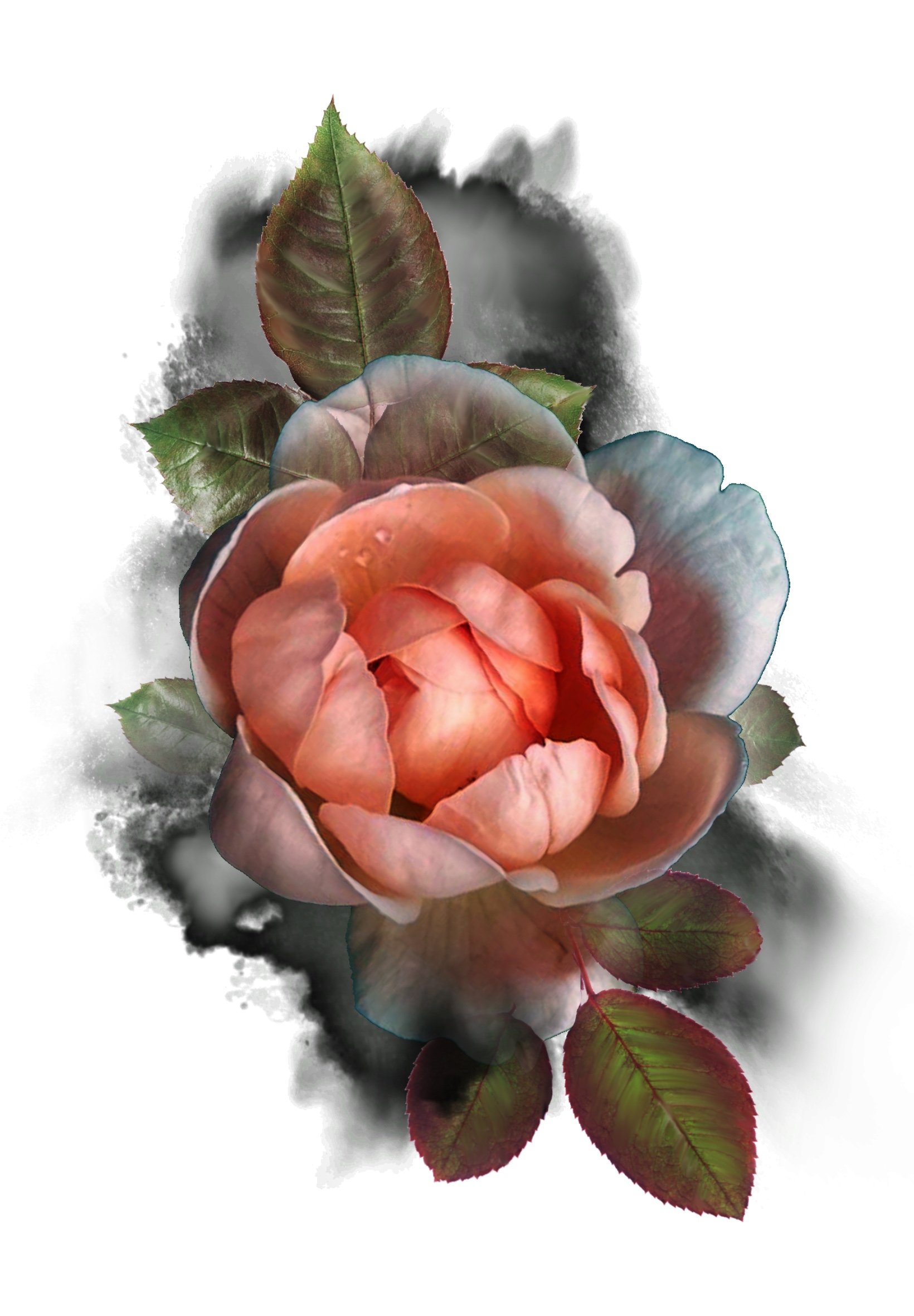 A digital illustration of a peach-colored rose with green and reddish leaves, set against a background of black and white watercolor splashes.