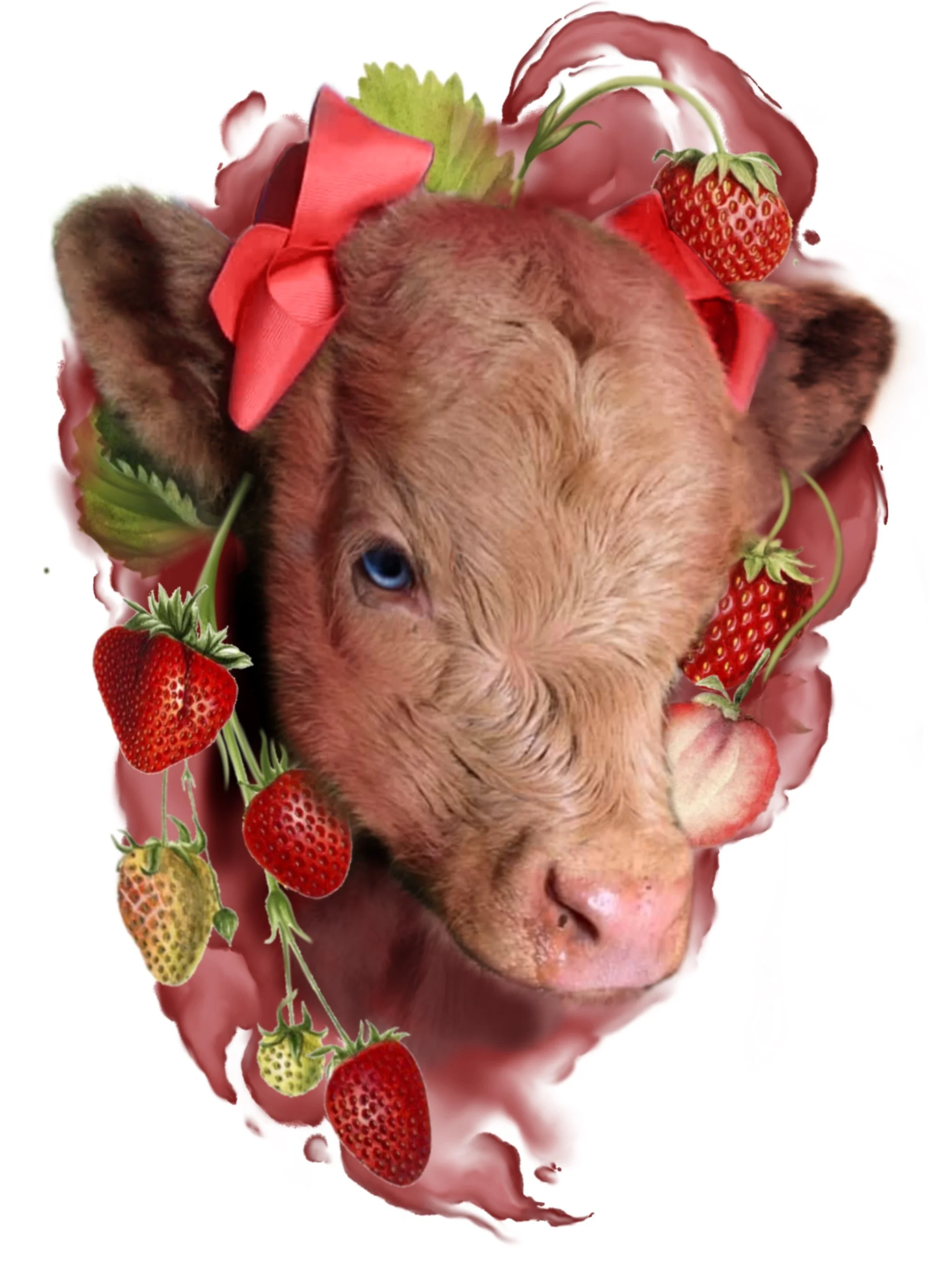A composite image featuring a cow's head with blue eyes, surrounded by strawberries, strawberries on vines, and red and pink rose petals.