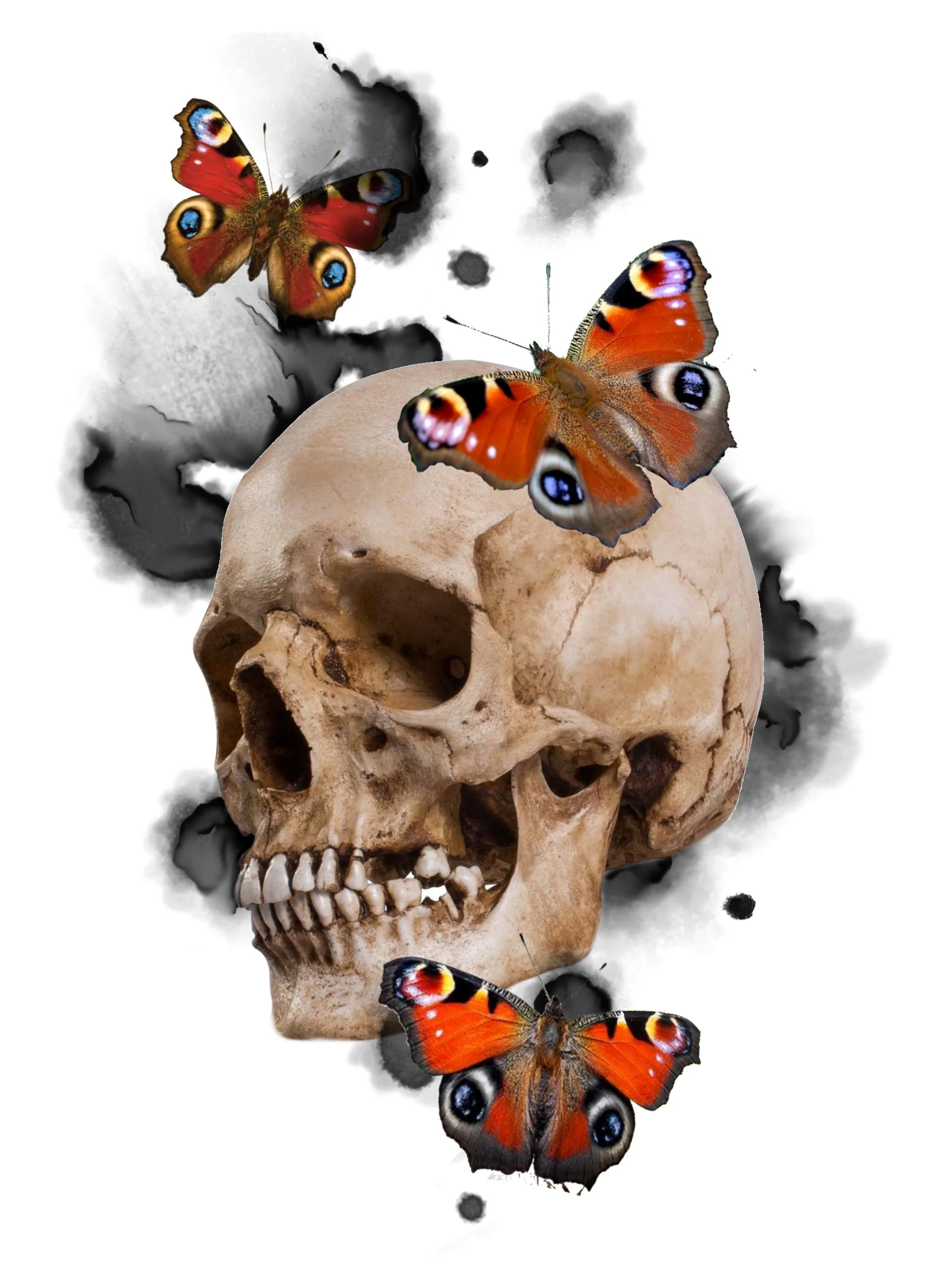 A human skull with watercolor in the background, accompanied by three butterflies with eye patterns on their wings.
