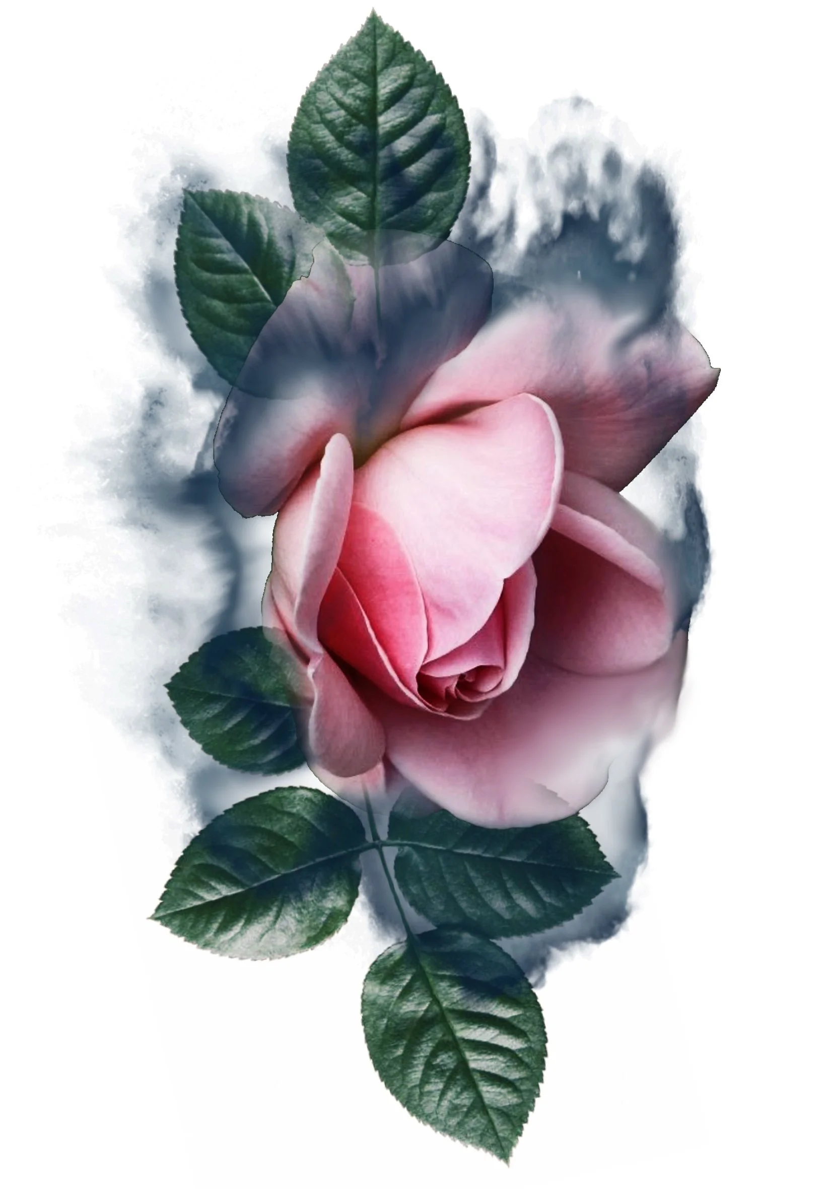 A pink rose with green leaves surrounded by a cloudy mist.
