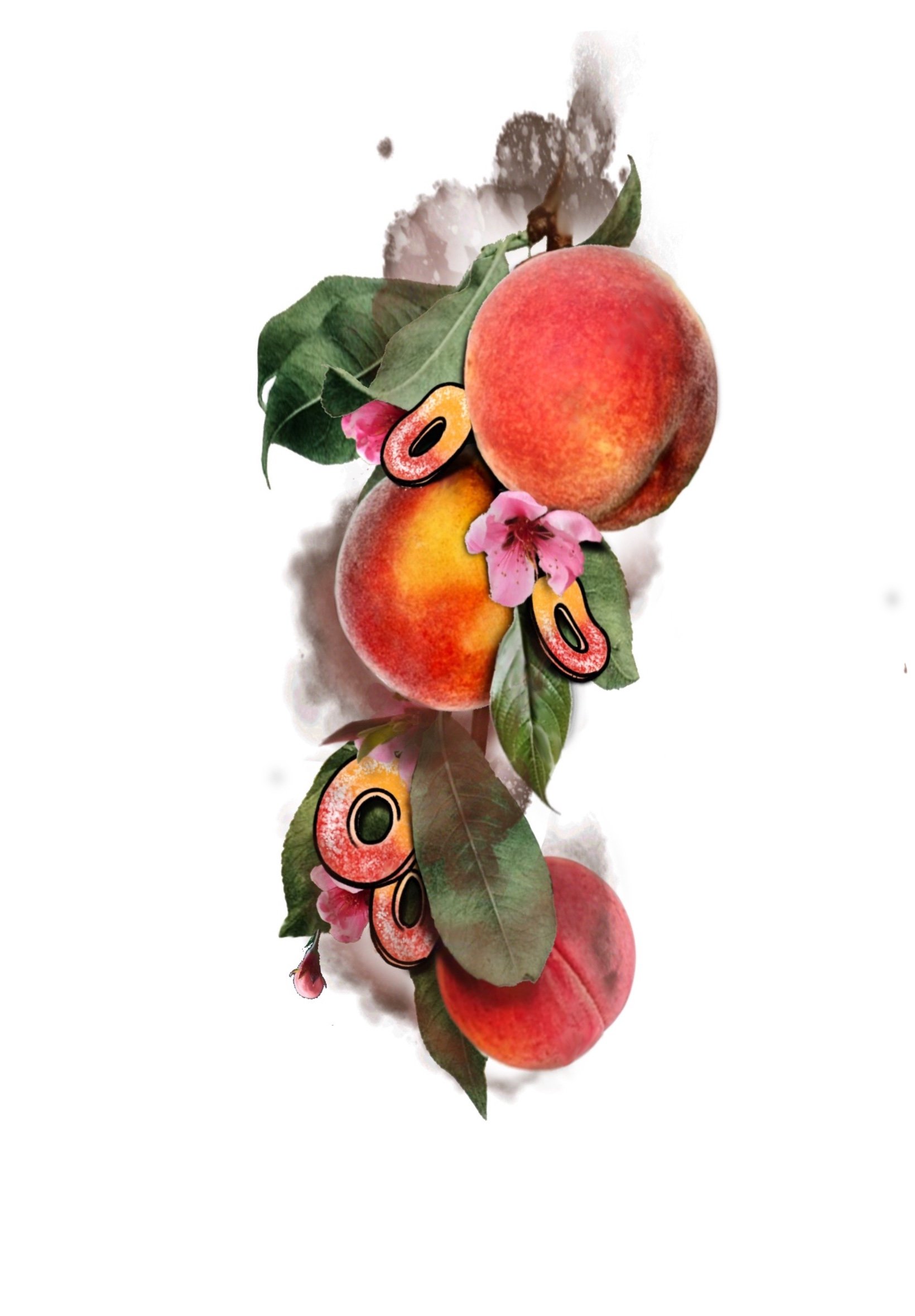 A digital illustration of a branch with peaches, green leaves, pink flowers, and peach-themed emoji icons against a white background.