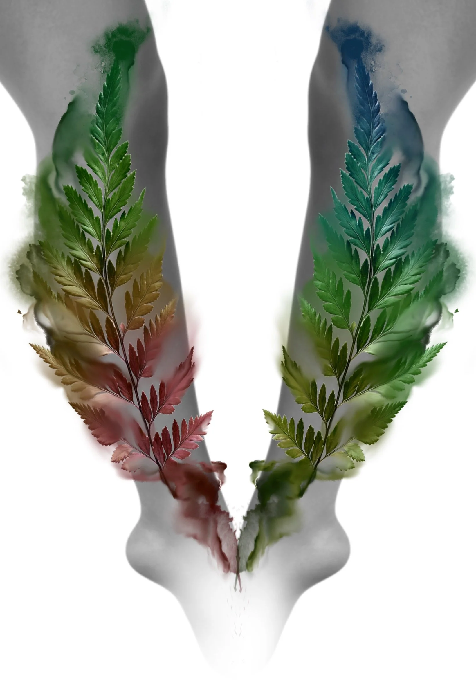 A mirror image of a human torso with watercolor-style fern leaves in red, green, blue, and darker shades.