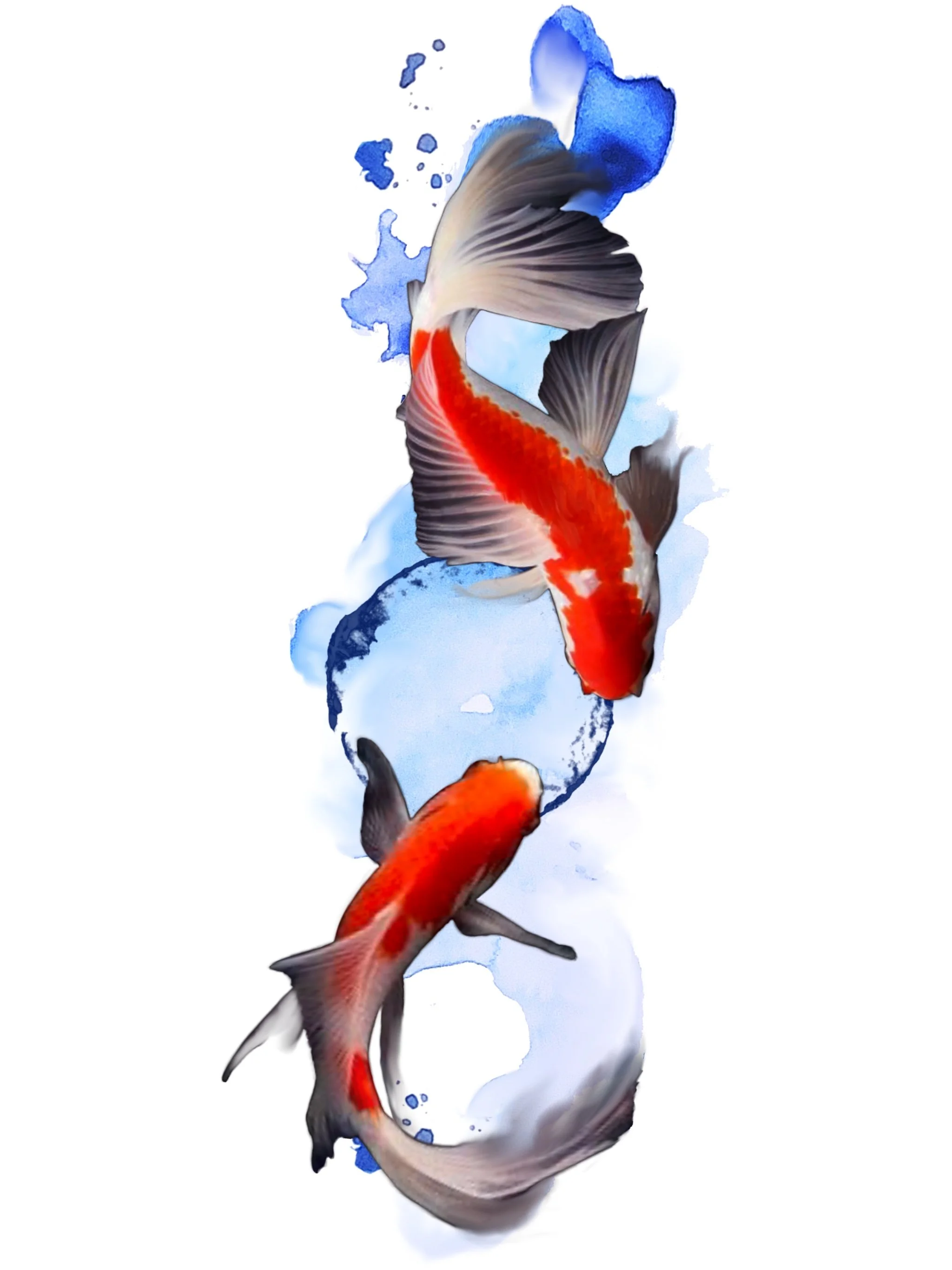 Colorful koi fish swimming in water with blue and white reflections.