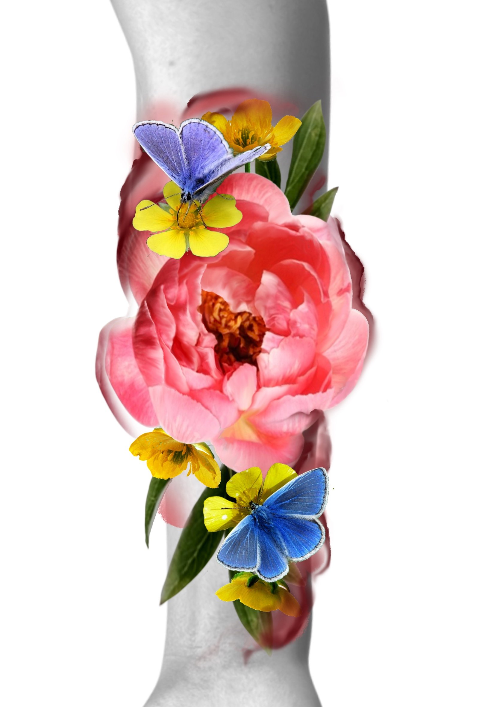 A woman’s torso with colorful flowers and butterflies digitally superimposed, featuring pink, yellow, and blue butterflies and various vibrant flowers.