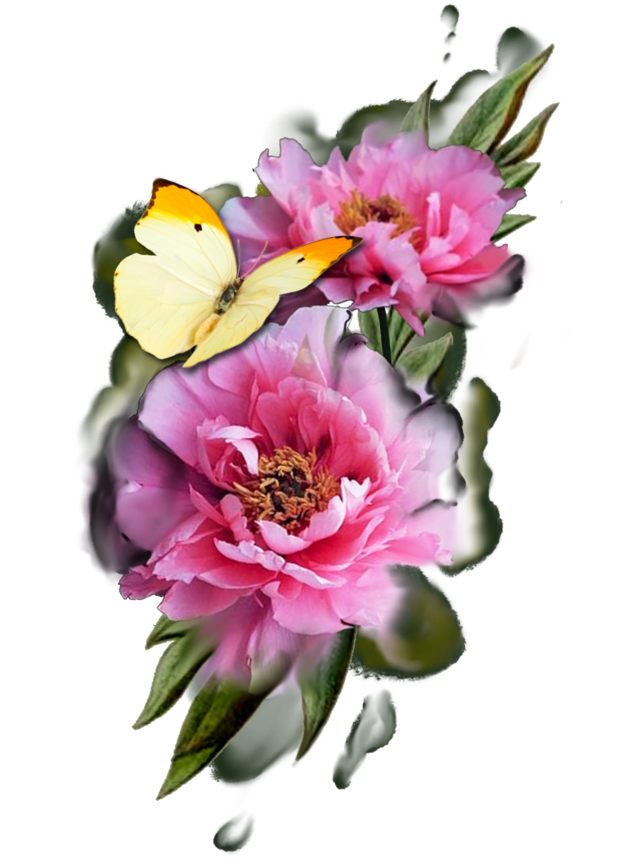 A yellow butterfly resting on a pink flower with green leaves against a white background.