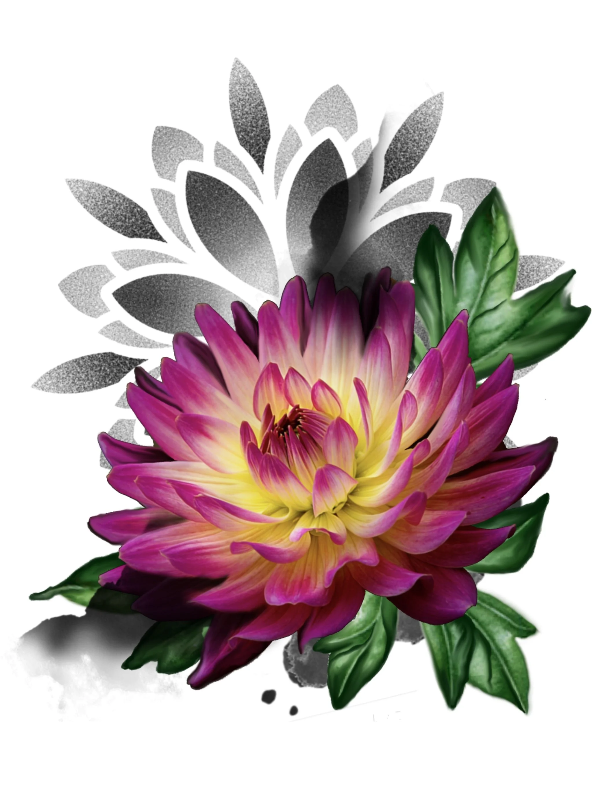 Close-up of a vibrant pink and yellow dahlia flower with green leaves against a white background, with a black and white shadow of another flower behind it.