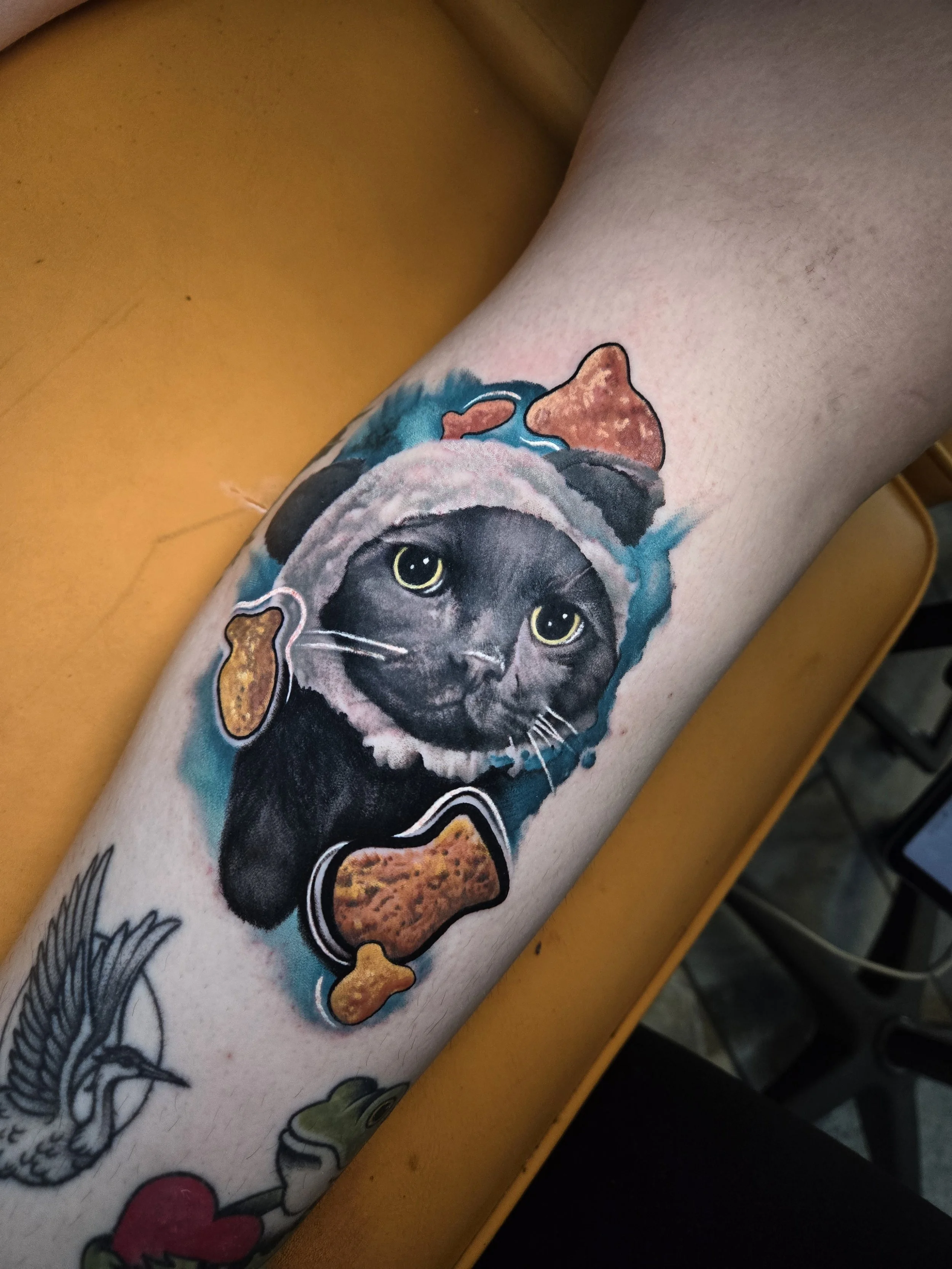 Tattoo of a black cat wearing a panda hoodie and holding a bone-shaped treat, with colorful background elements.