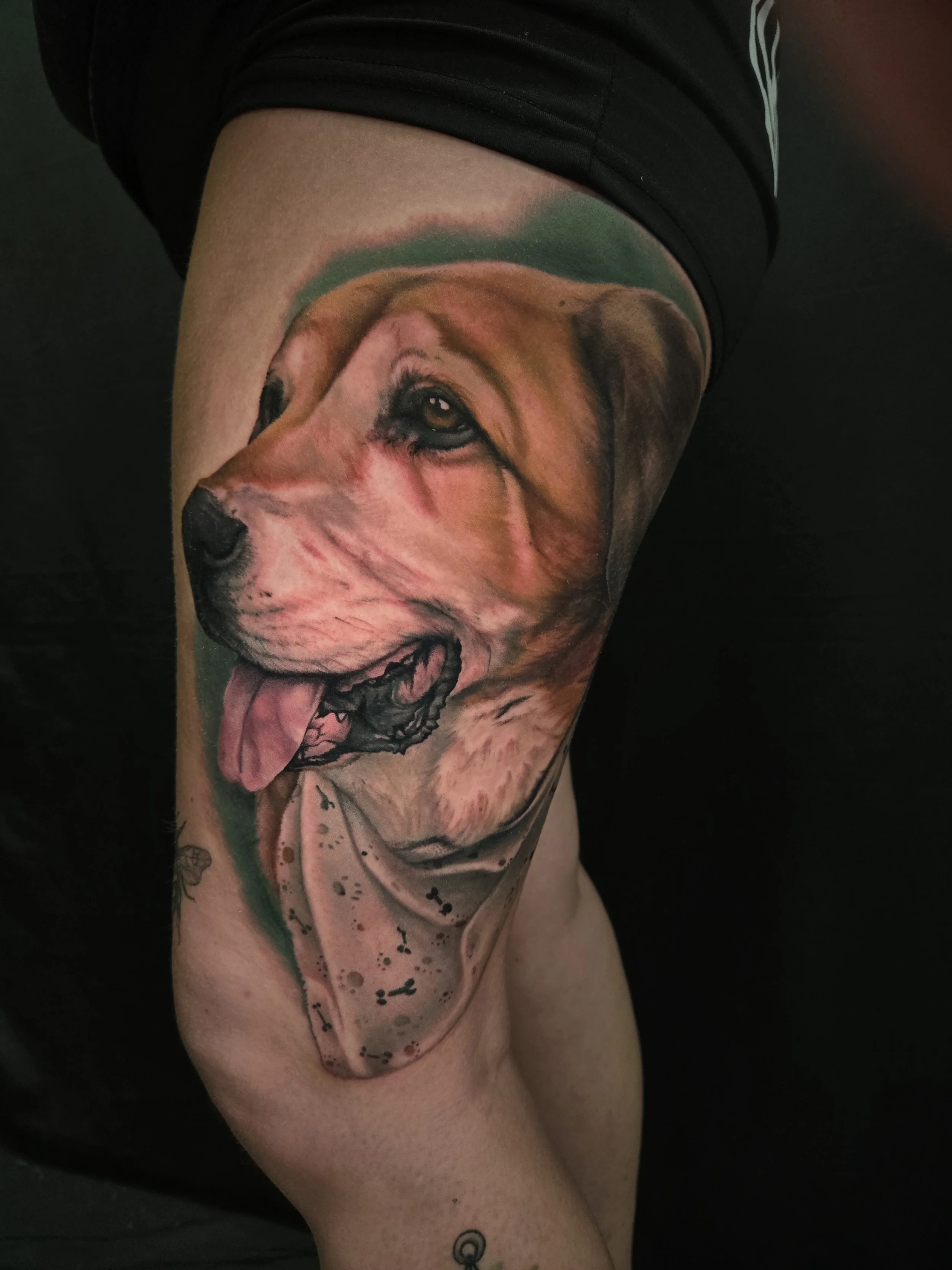 Tattoo of a dog portrait with its tongue out on a person's thigh