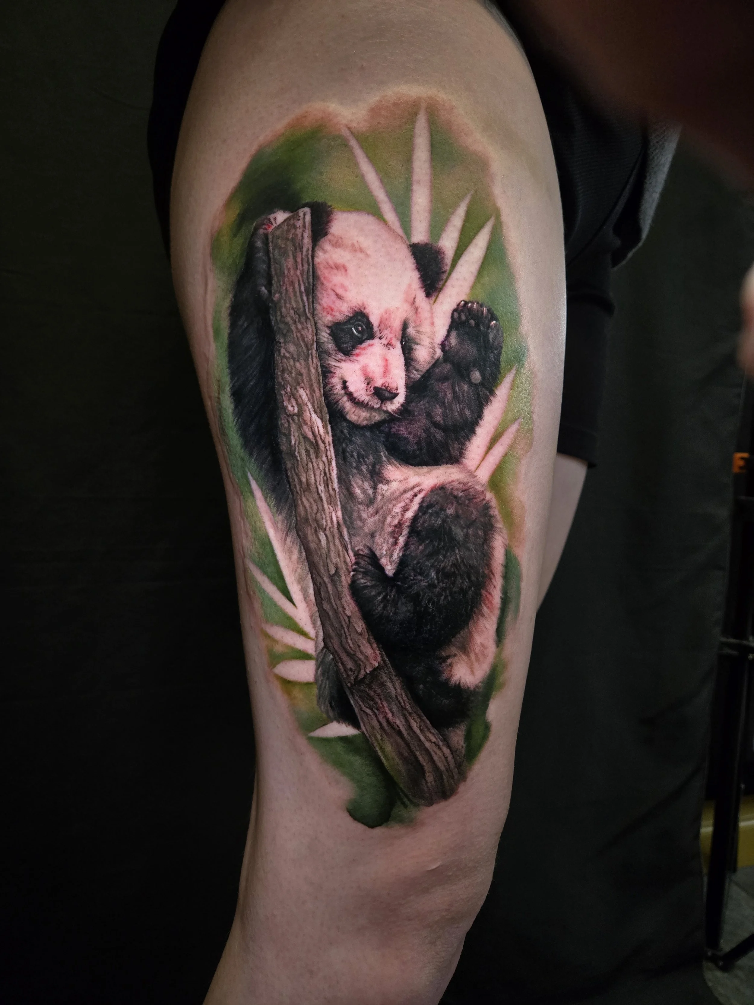 Tattoo of a panda bear climbing a tree trunk surrounded by bamboo leaves on a person's thigh.