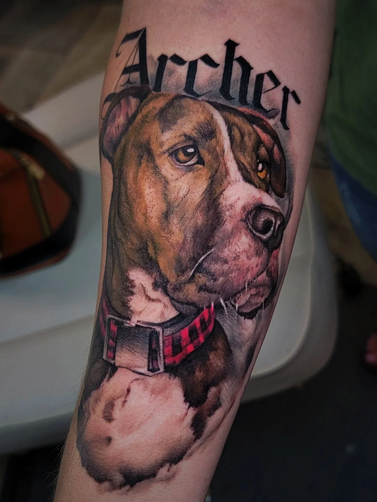 Tattoo of a dog with brown and black fur, wearing a red and black checkered bandana, on a person's arm.