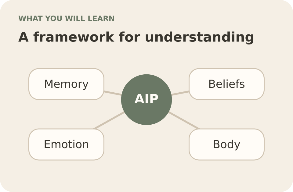 Concept map of memory, beliefs, emotion and body experience around the AIP framework.