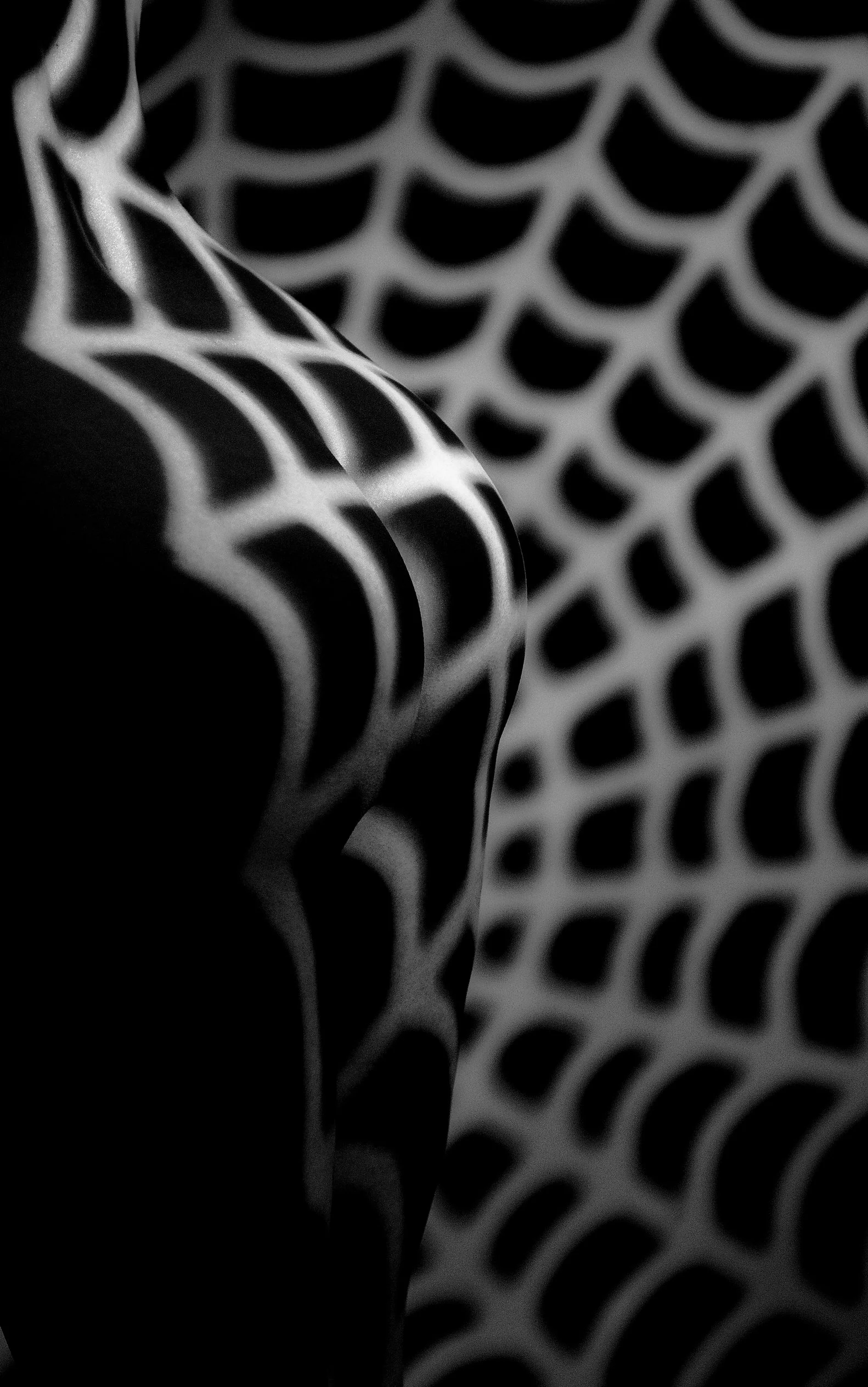 Ana-Kristin Roca_twime03_089-090_1.jpg