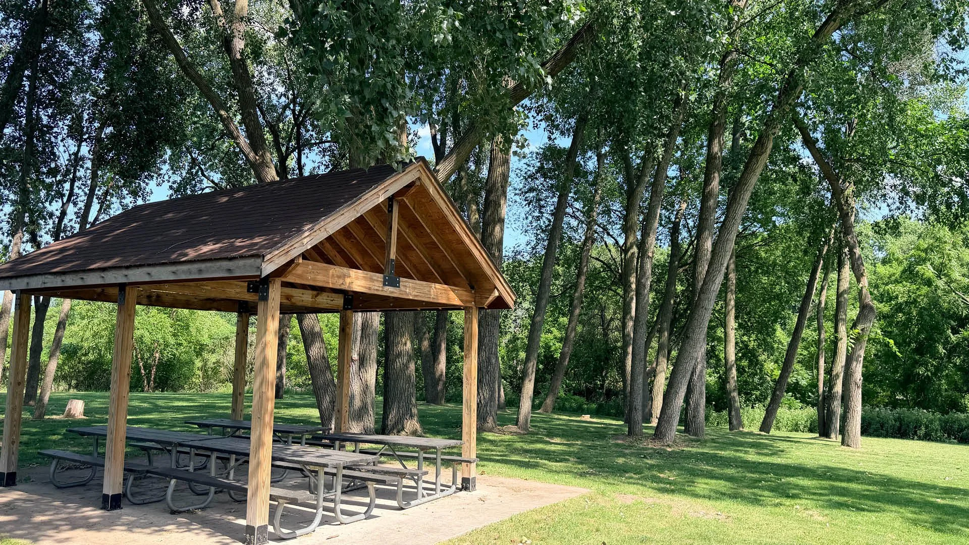 Picnic In The Park