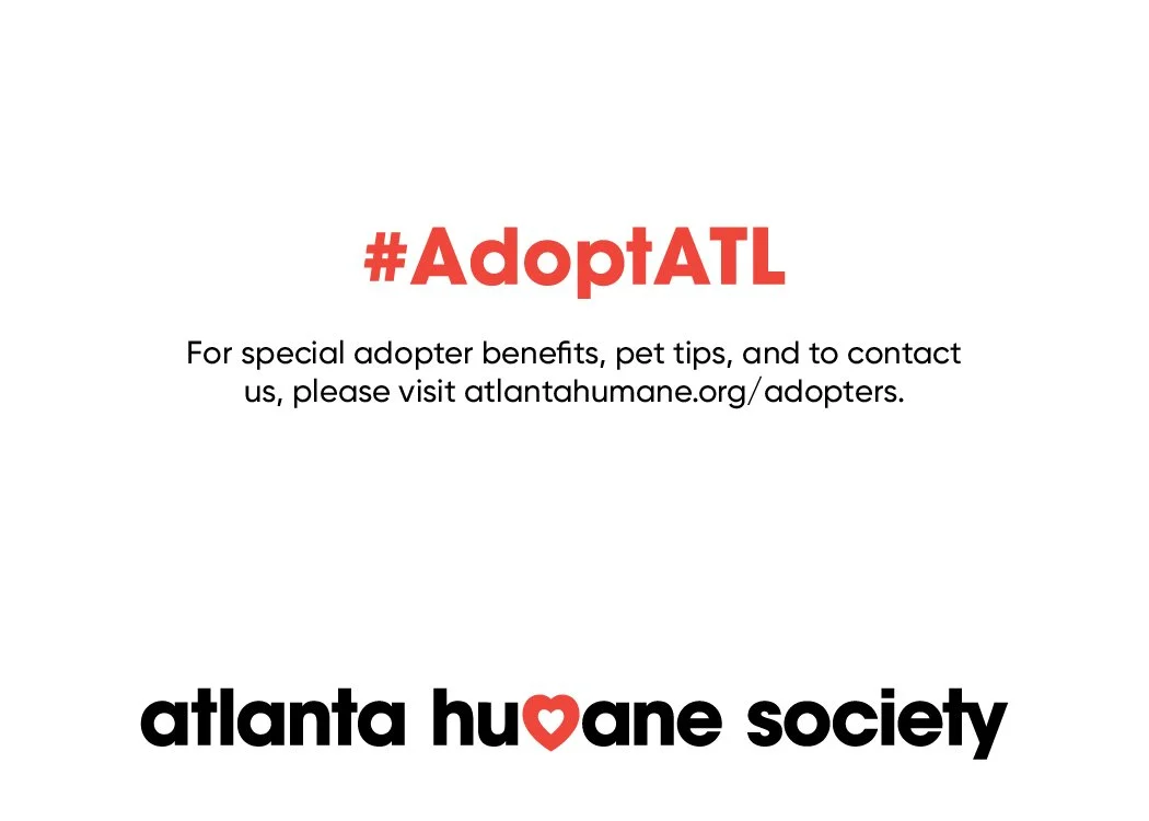 A promotional image for the Atlanta Humane Society featuring the hashtag #AdoptATL, with information about pet adoption and contact details, and the Atlanta Humane Society logo with a red heart in place of the letter 'o' in 'love'.