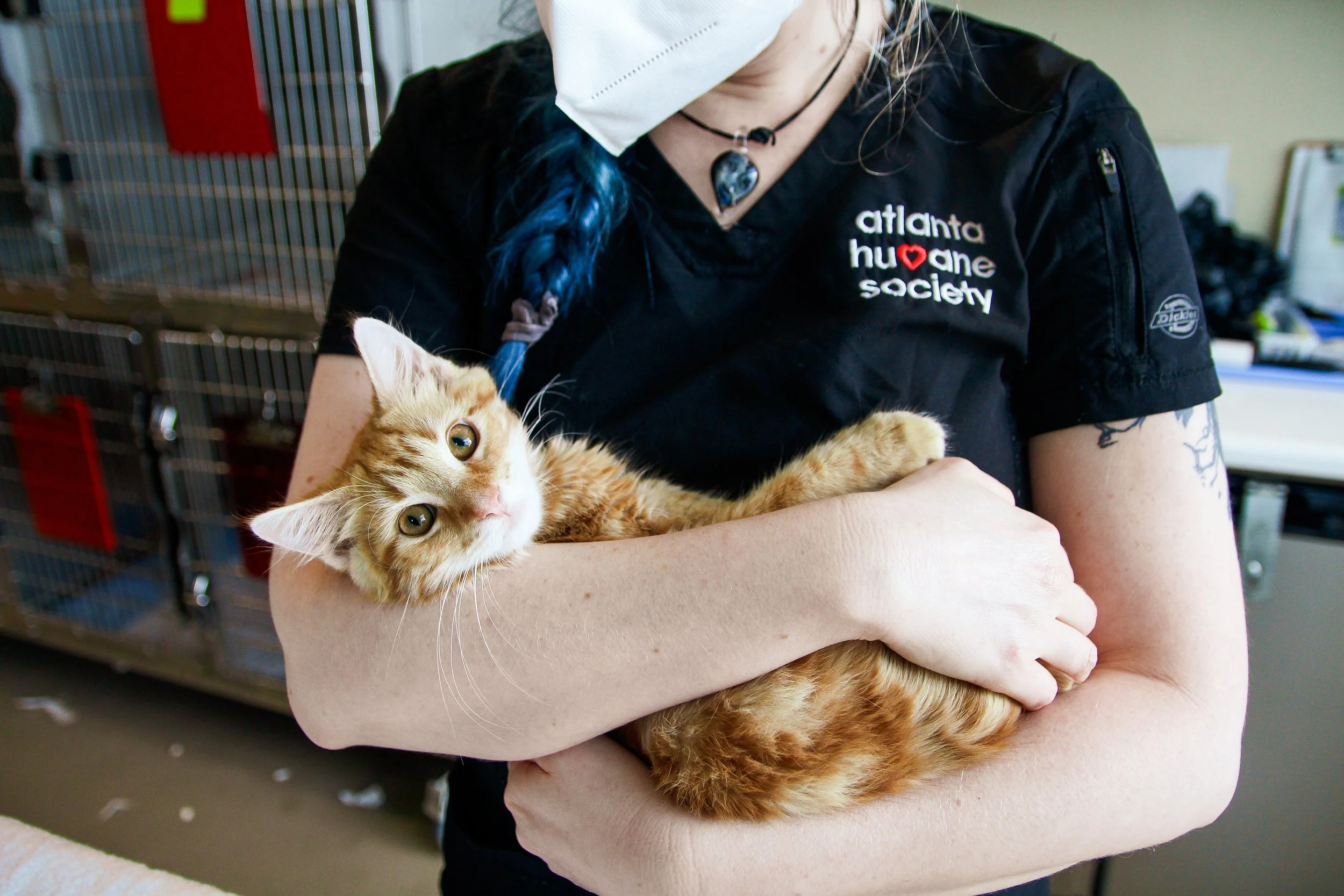 A person with blue braided hair wearing a face mask and a black shirt with 'Atlanta humane society' logo, holding an orange tabby kitten in their arms.