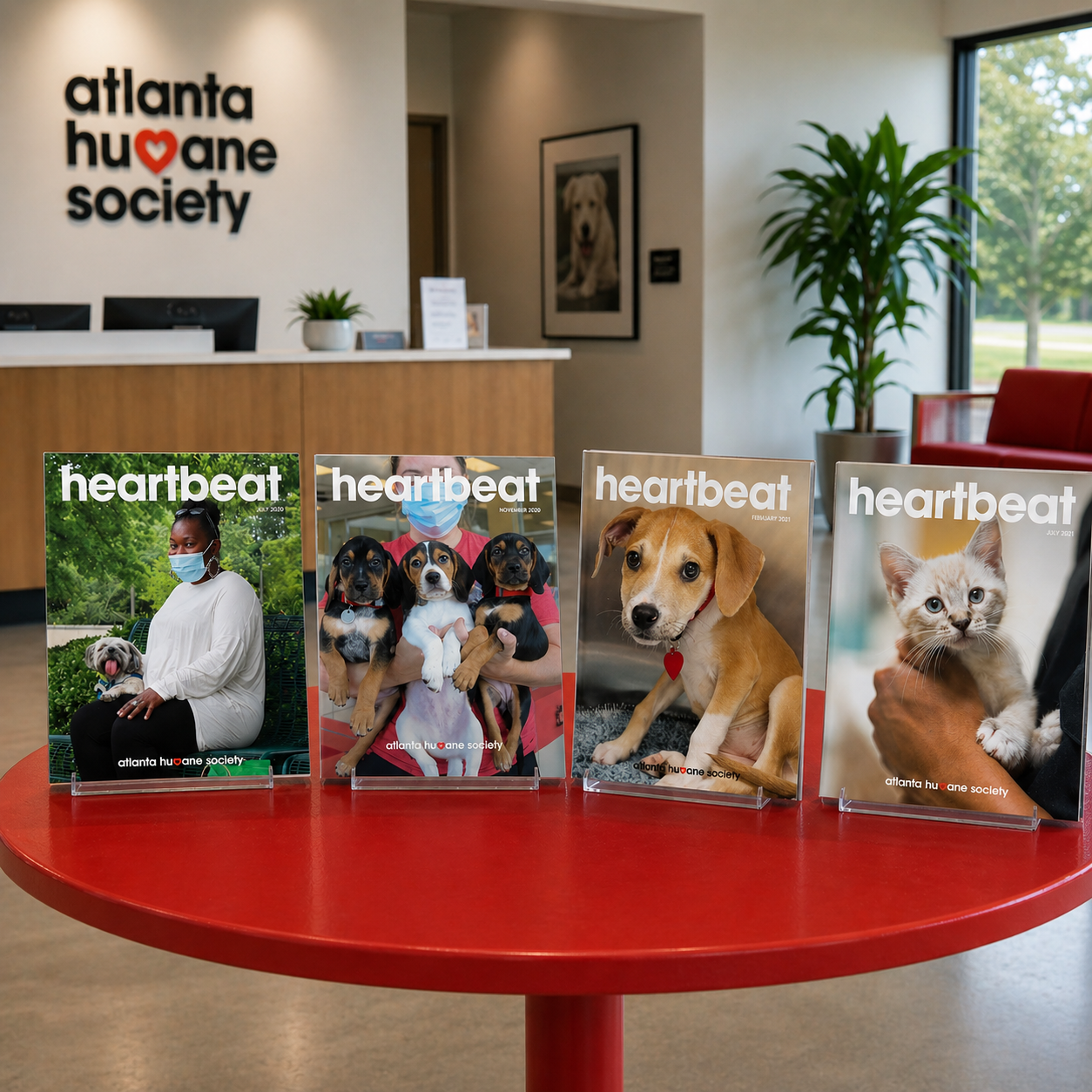 Display of four magazines titled 'heartbeat' featuring photos of dogs, cats, and people at the Atlanta Humane Society in a lobby area with a reception desk, potted plant, and framed dog photo in the background.