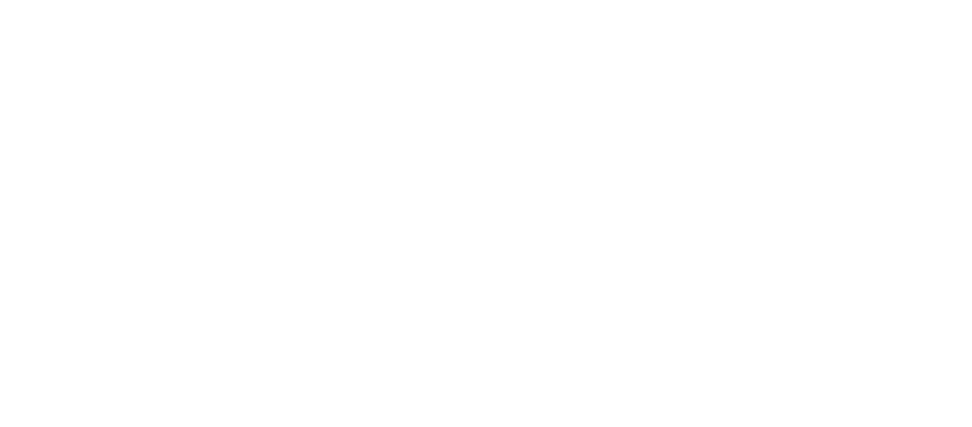 The image is blank with no visible objects or scenery.