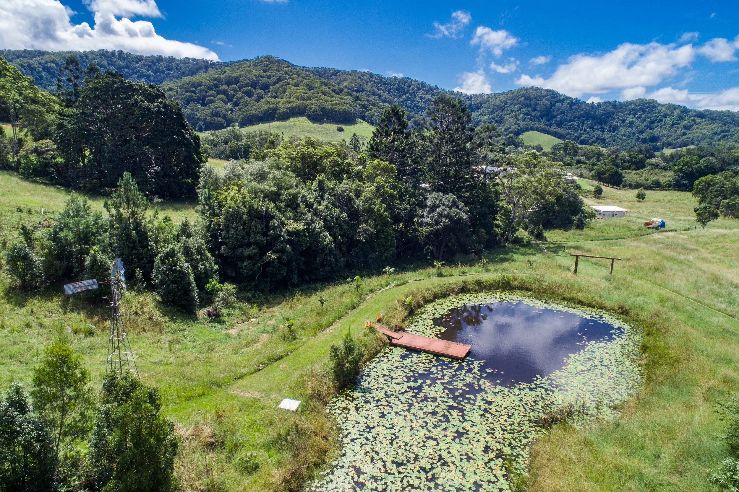 Scenic dam at Wybalena Organic Farm during Held healing retreat for trauma and nervous system healing