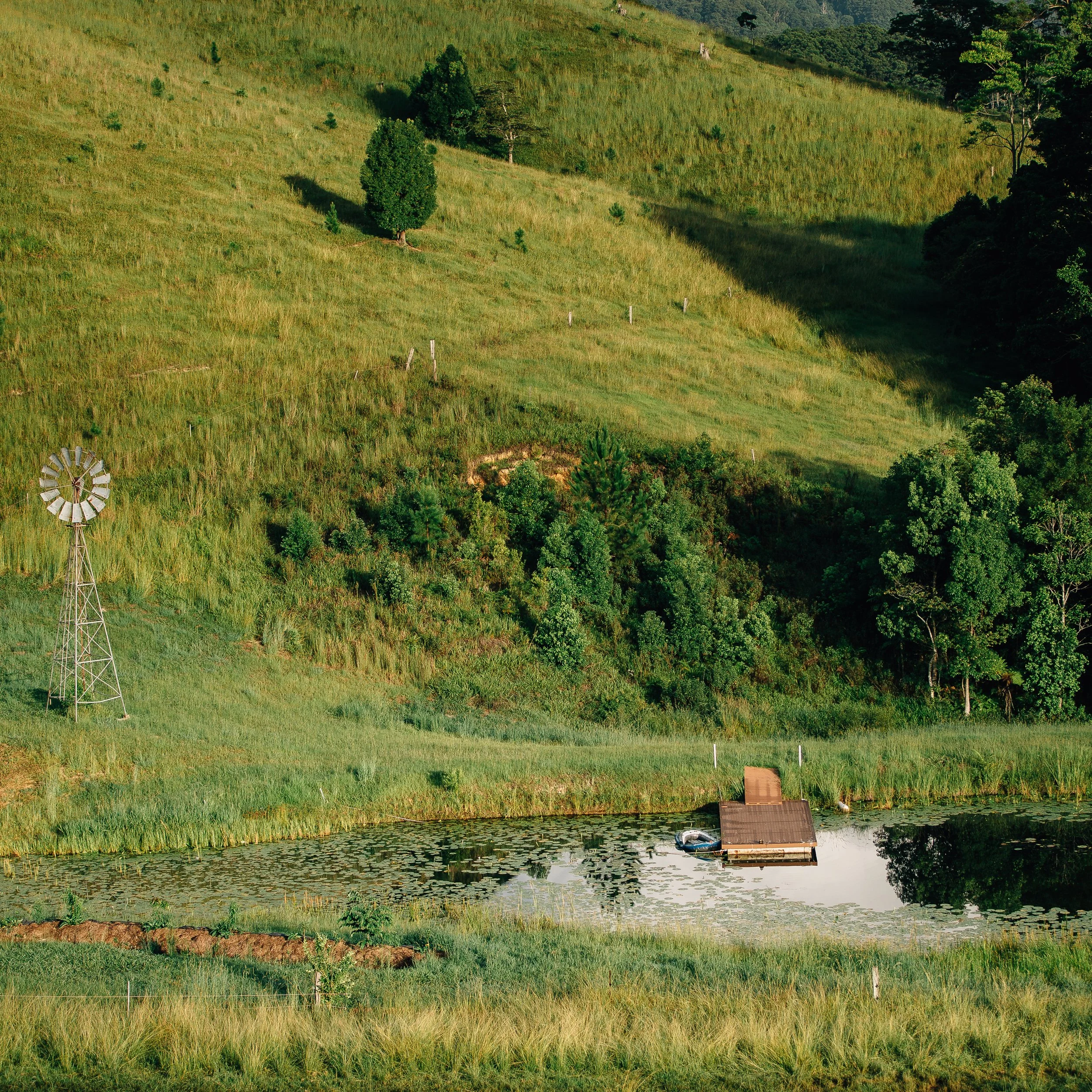 Scenic dam at Wybalena Organic Farm during Held healing retreat for trauma and nervous system healing
