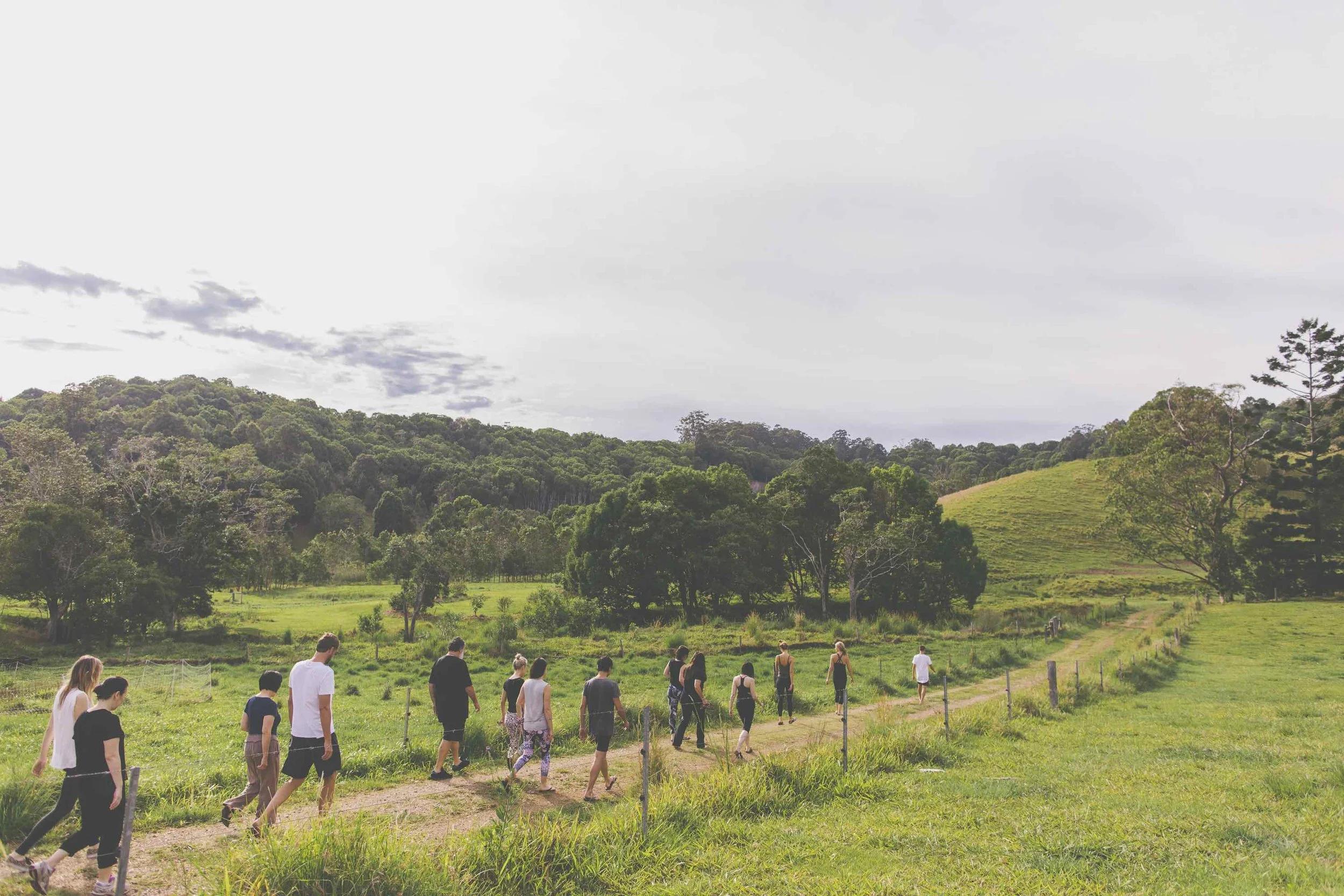 Guided nature walk at Held retreat through the walking trails at Wybalena Organic Farm